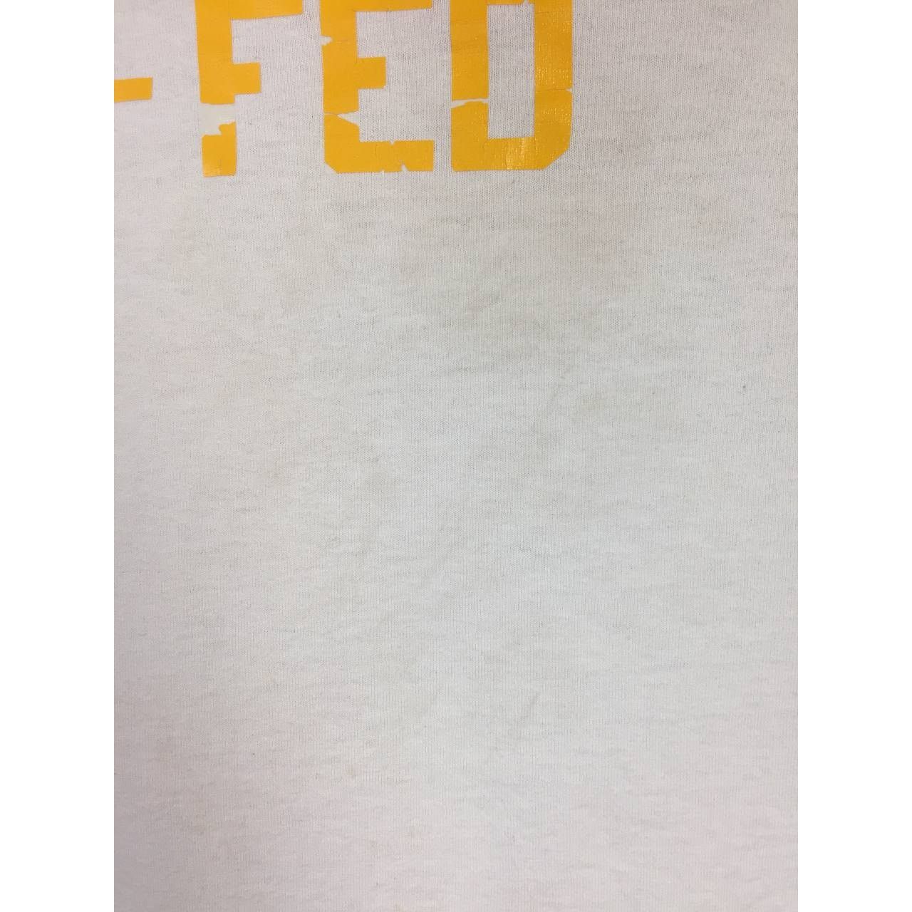 Band Tees × Gildan × Rap Tees K-Fed Kevin Federline Face Smashers Rap Tees Size US M / EU 48-50 / 2 - 14 Thumbnail