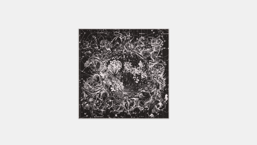 Dior o1w1db10424 Size: OS Dior Zodiac Square Scarf in Black Size ONE SIZE - 2 Thumbnail