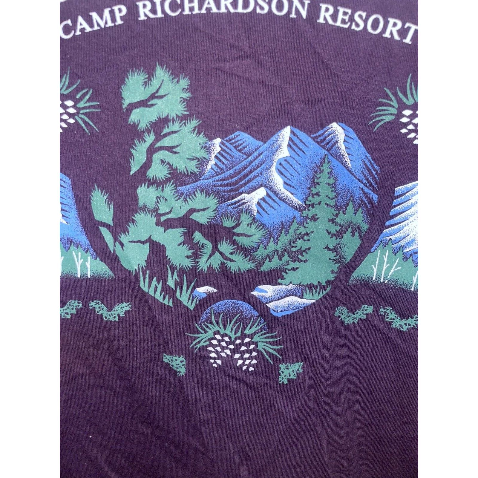 Jerzees Vintage Lake Tahoe Camp Richardson Shirt Test Print Tee 90s Size US M / EU 48-50 / 2 - 3 Thumbnail