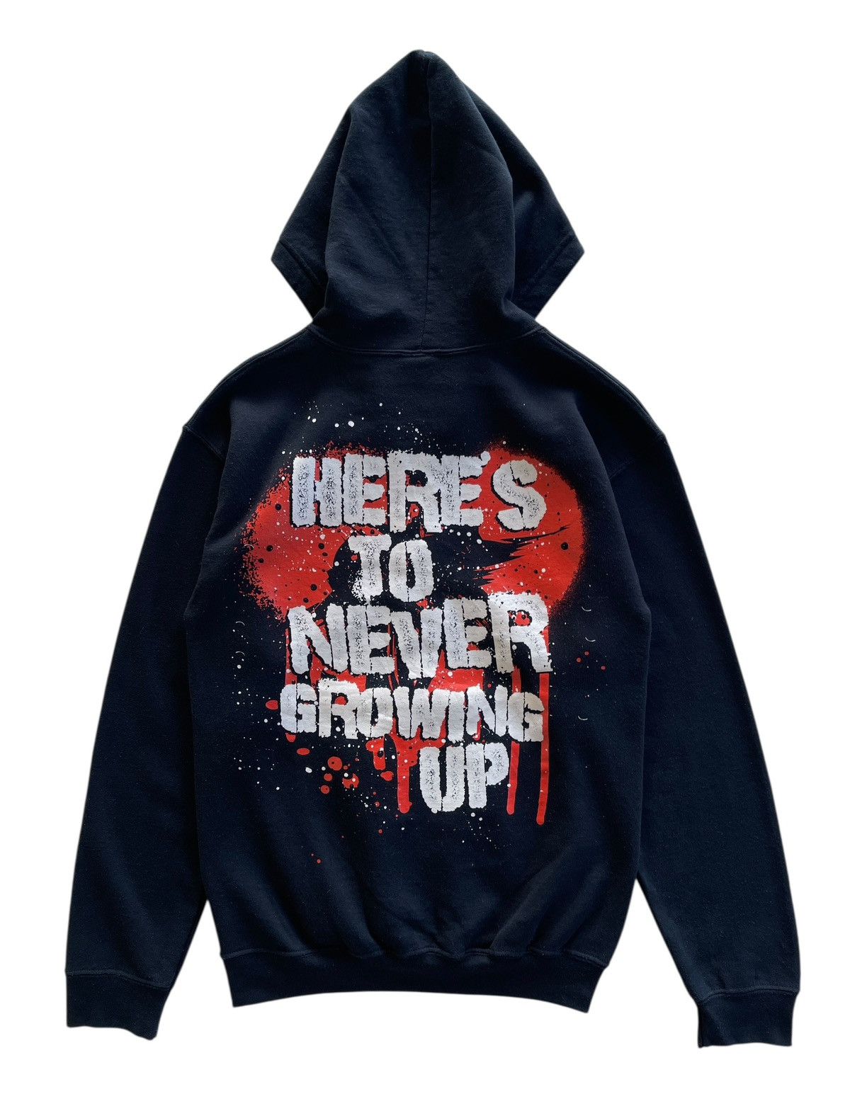 Band Tees Avril Lavigne 2013 Album Sweatshirt Hoodie Size US S / EU 44-46 / 1 - 1 Thumbnail