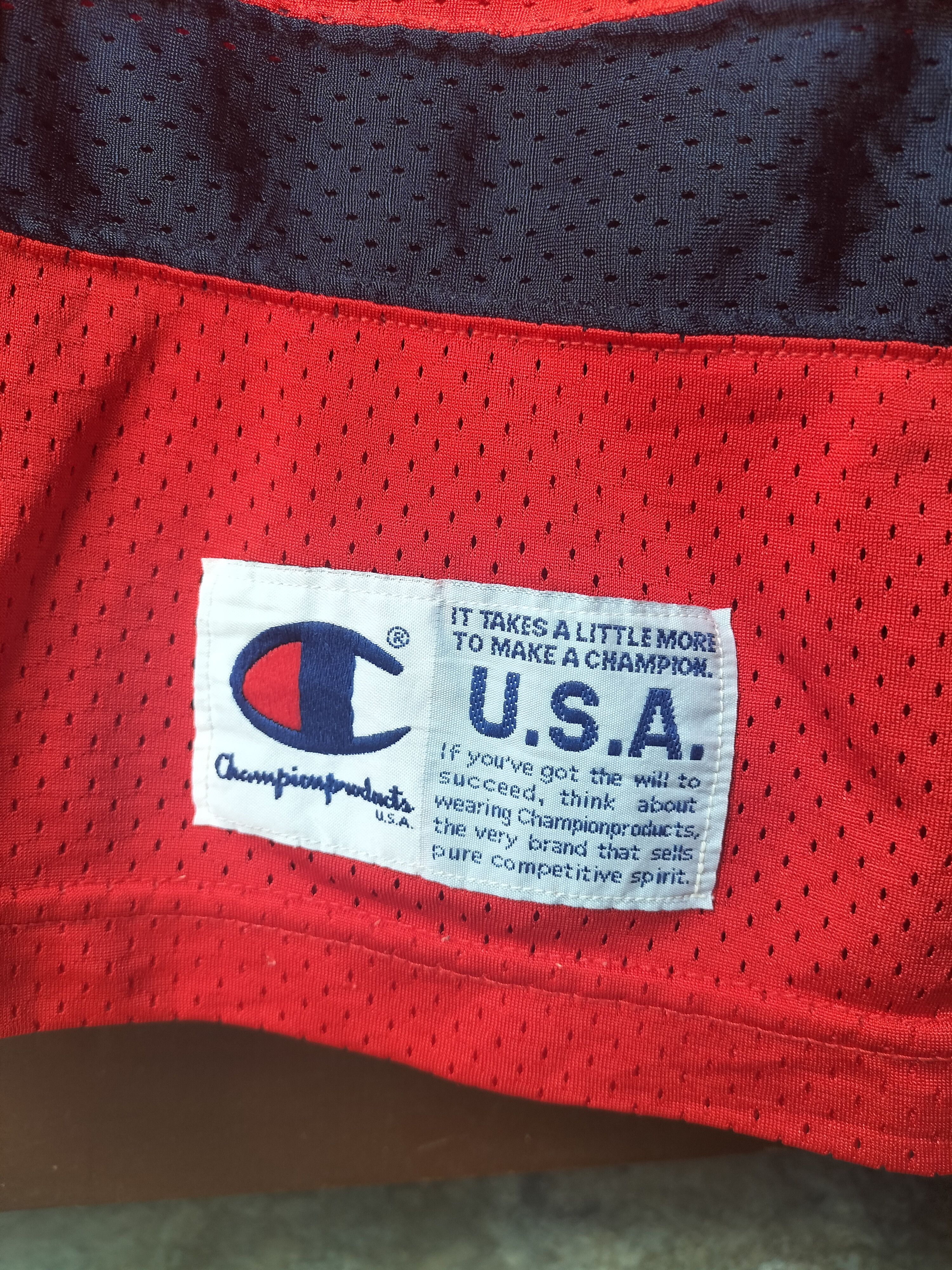 Champion Vintage 90s Champion Big Logo Jersey Raptees hip-hop fashion Size US L / EU 52-54 / 3 - 6 Thumbnail