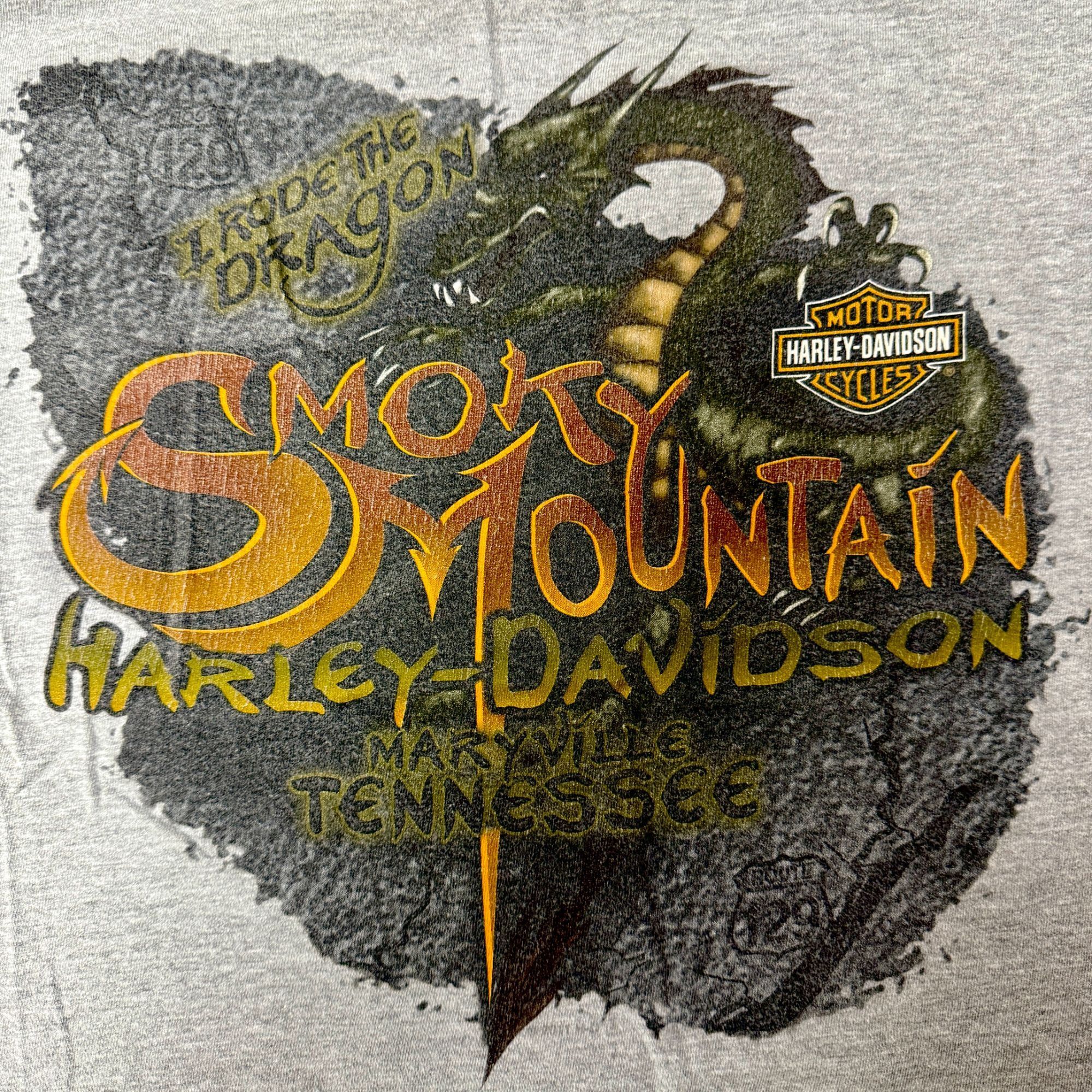 Harley Davidson Vtg Harley Davidson Heather SMOKEY MOUNTAIN DRAGON Shirt Size US L / EU 52-54 / 3 - 1 Thumbnail