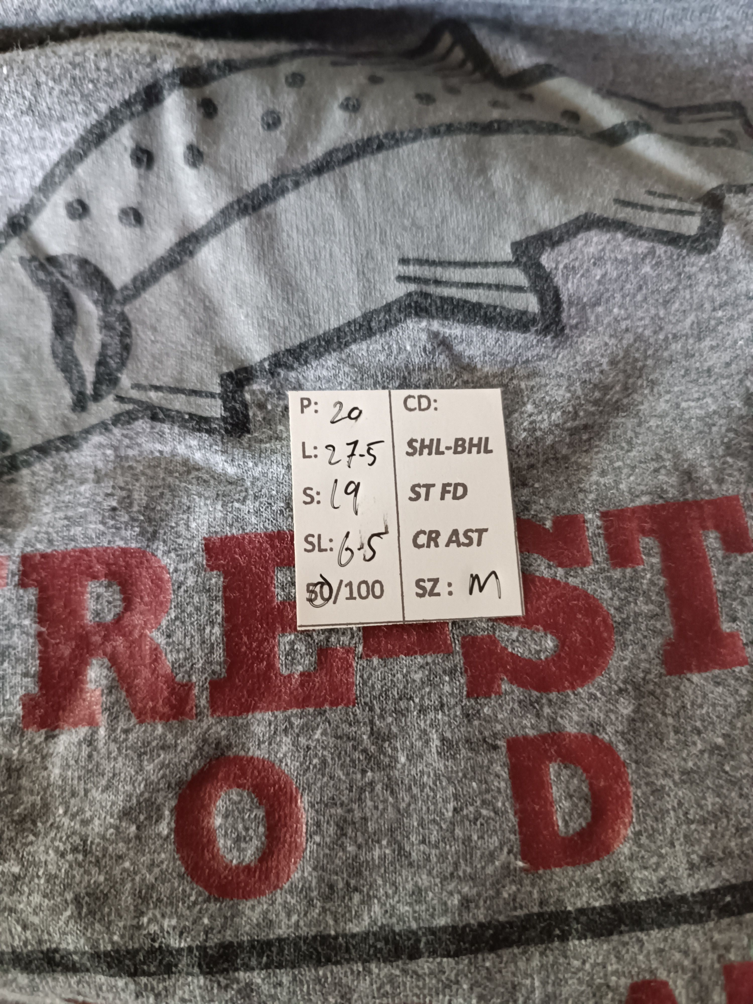 Bass Pro Shops VINTAGE Y2K SURE STRIKE LODGE ALASKA TEE BASS PRO SHOP Size US M / EU 48-50 / 2 - 14 Thumbnail