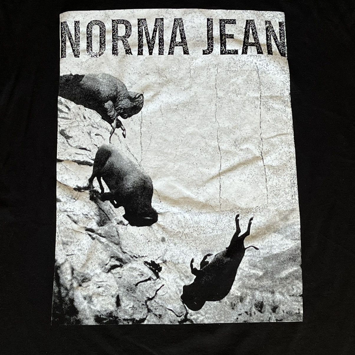 Band Tees Vintage 2000s Norma Jean Buffalo Metalcore Graphic Logo Tee Size US XL / EU 56 / 4 - 3 Thumbnail