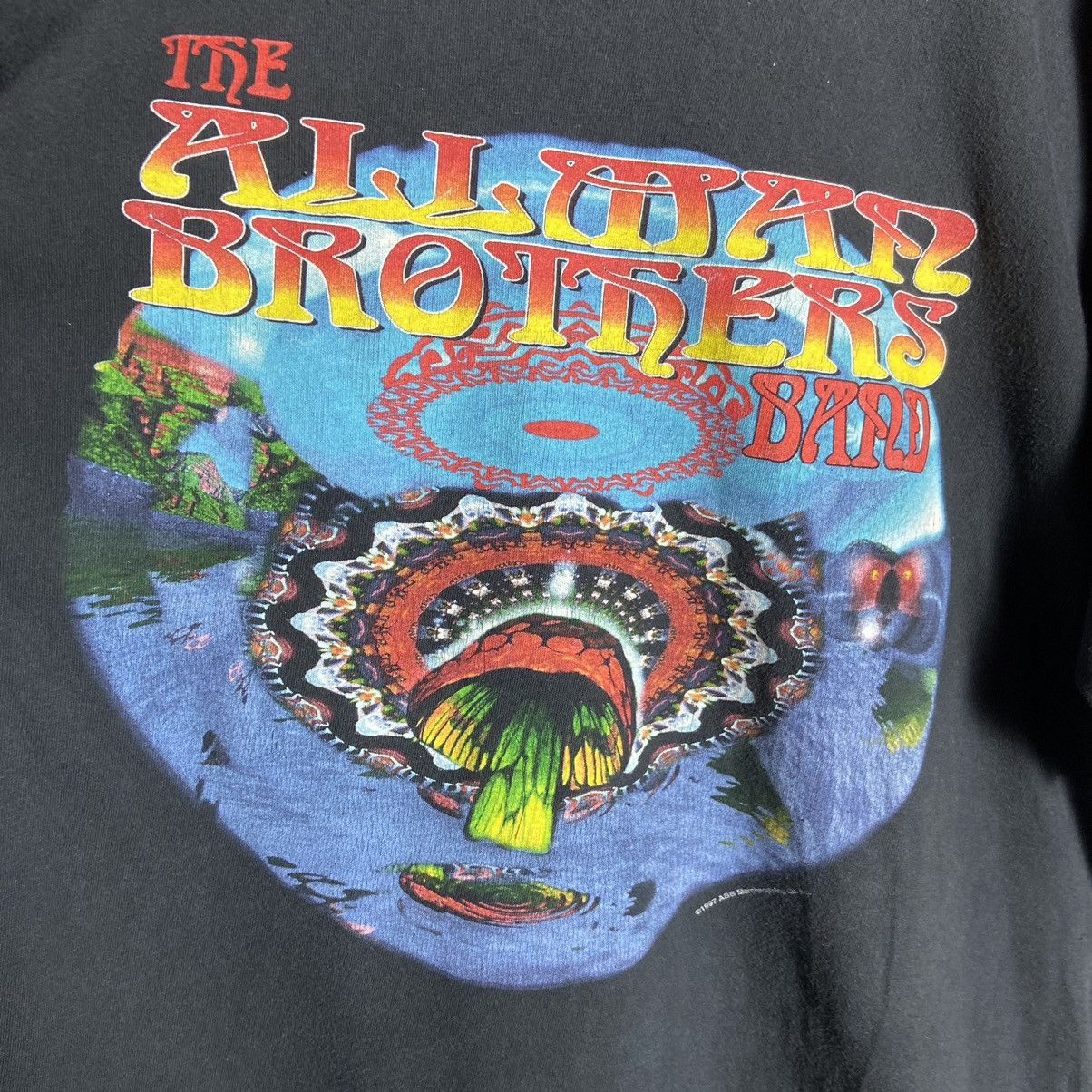 Band Tees Vintage 90s The Allman Brothers Band Tee Size US XL / EU 56 / 4 - 3 Thumbnail