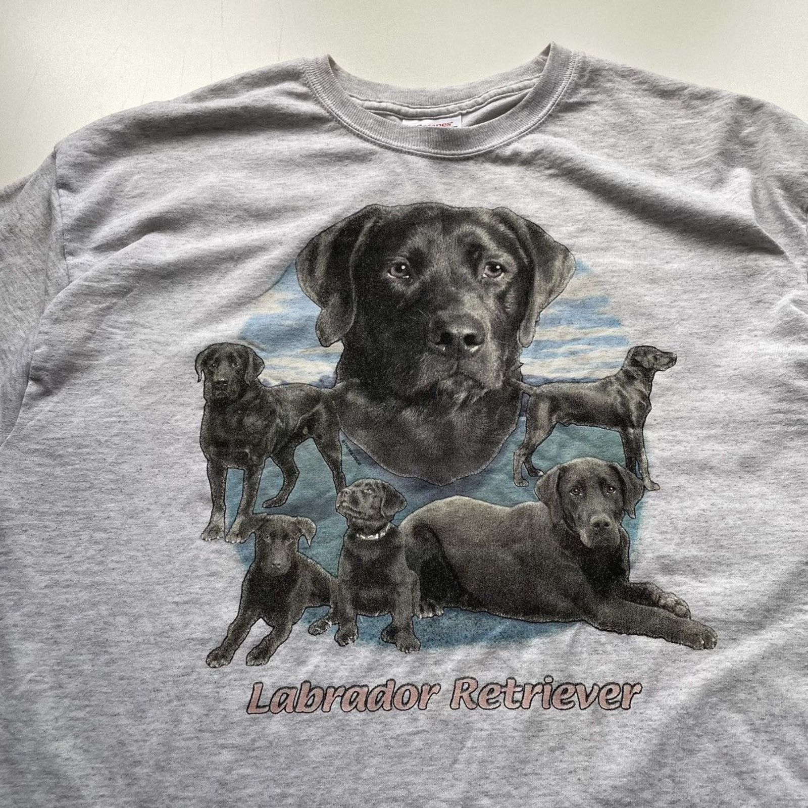Vintage Vintage 1990s Labrador Retriever Dog Graphic T Shirt Large Size US L / EU 52-54 / 3 - 2 Thumbnail
