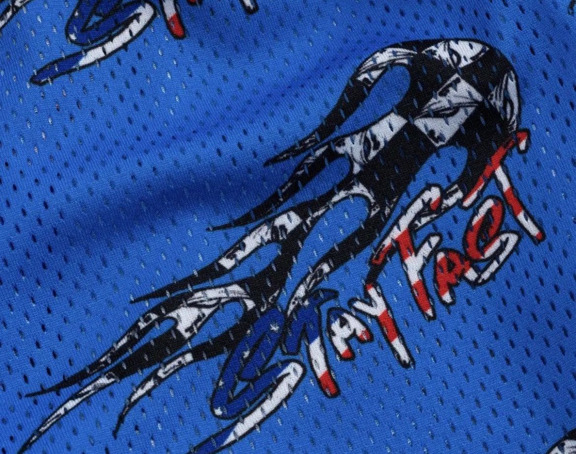 Eric Emanuel Eric Emanuel x Matty Boy blue shorts medium Size US 30 / EU 46 - 2 Thumbnail