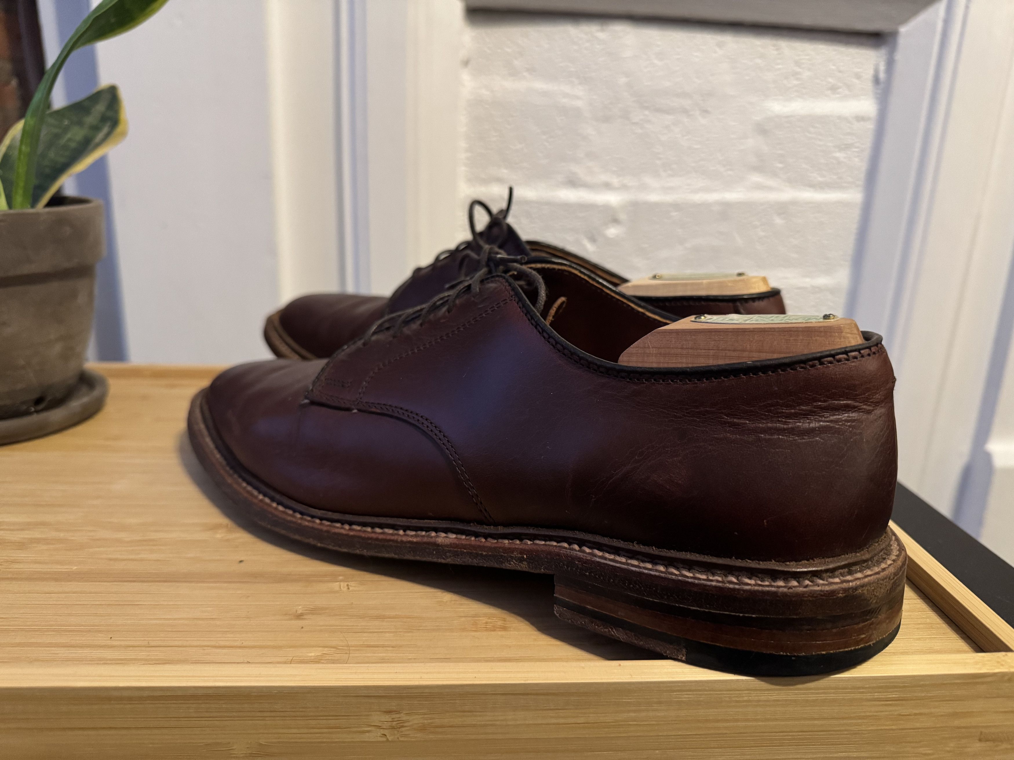 Alden Alden Unlined Plain Toe Blucher Size US 9.5 / EU 42-43 - 2 Thumbnail