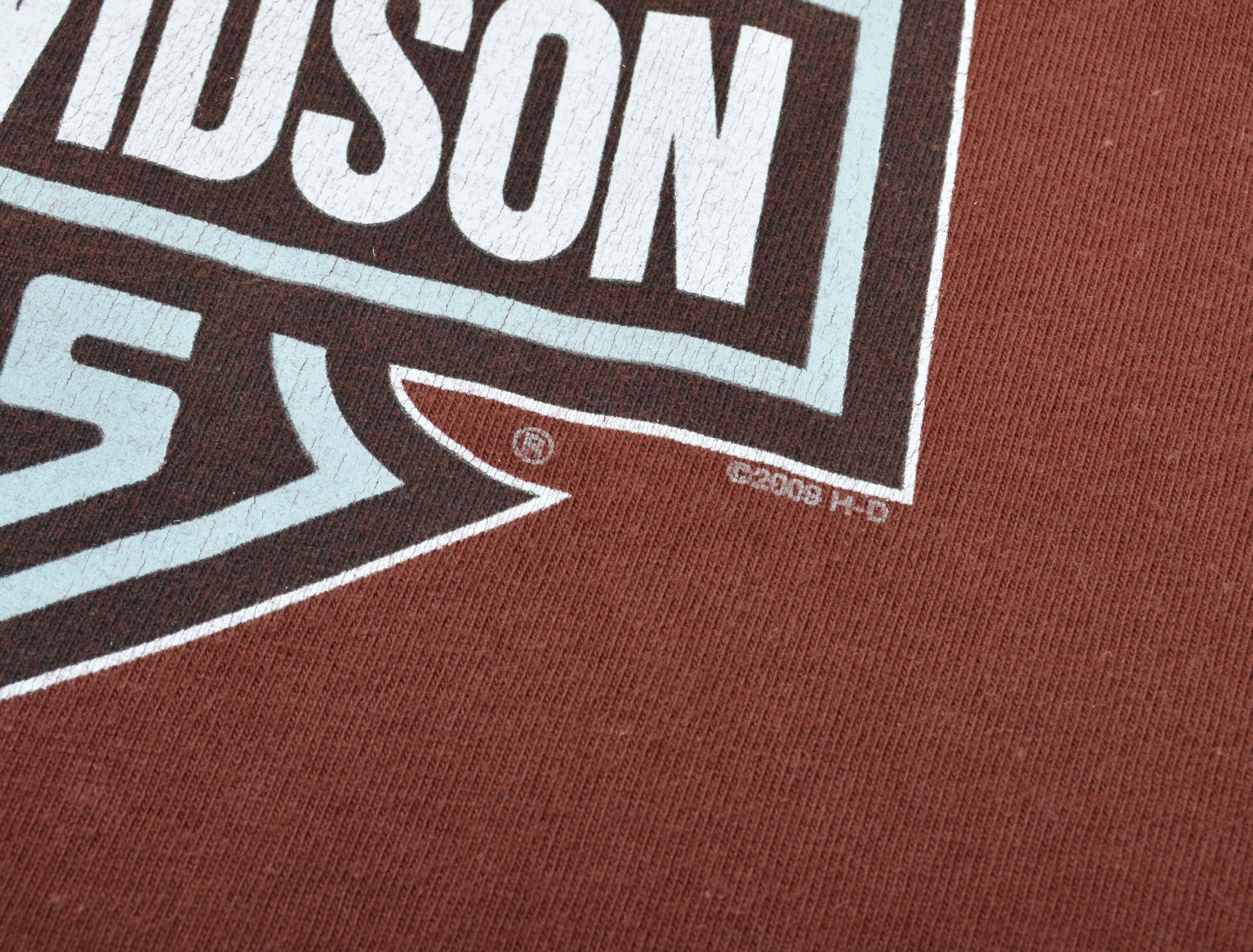 Harley Davidson Harley Davidson Y2K Grunge Biker Big Eagle 2009 Tee Size US L / EU 52-54 / 3 - 9 Thumbnail