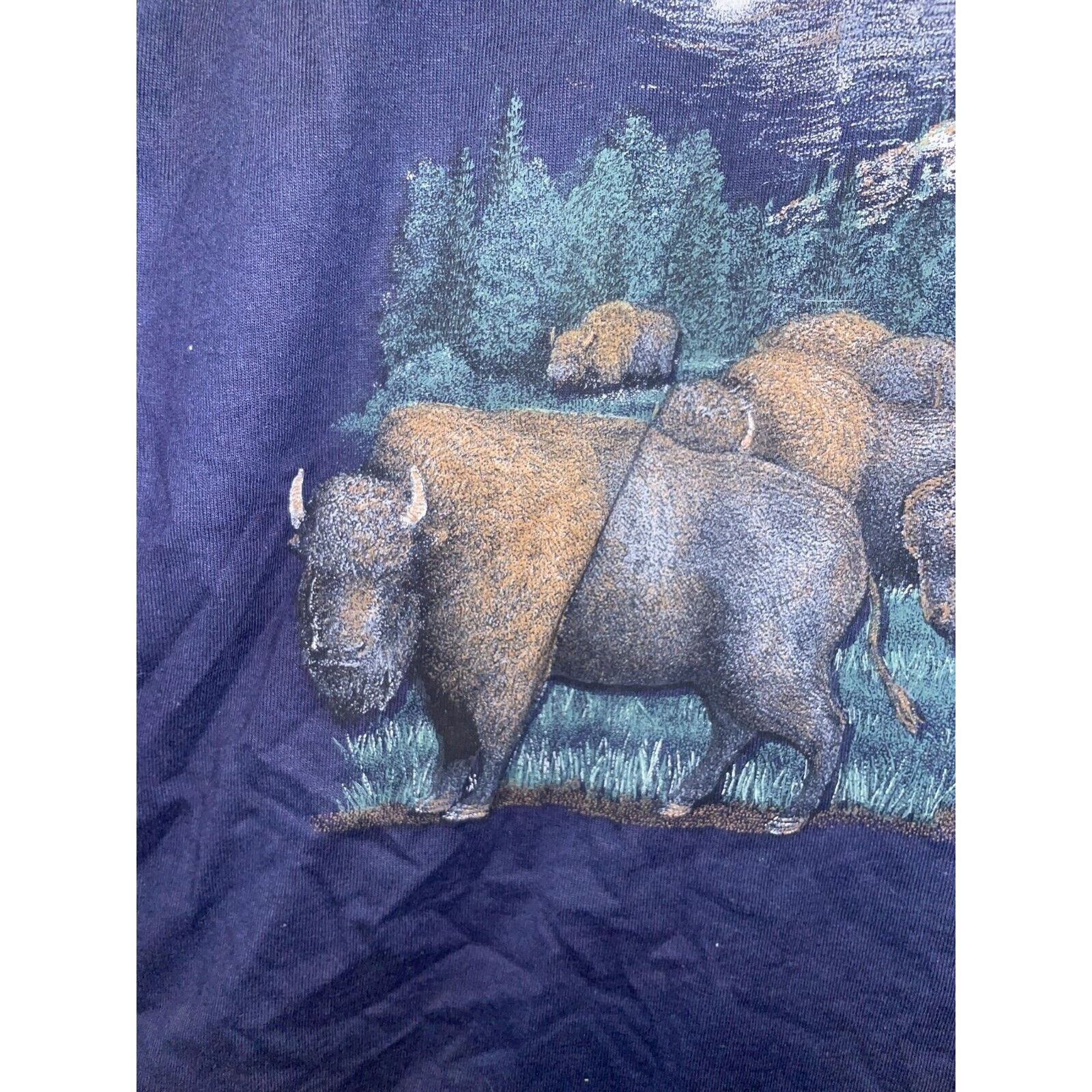 Jerzees Vintage Mount Rushmore Shirt President Bison Blue Tee 90s M Size US M / EU 48-50 / 2 - 5 Thumbnail