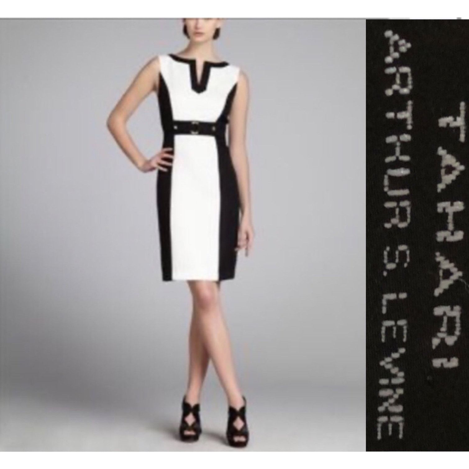 Elie Tahari Tahari Arthur S. Levine Black & White Houndstooth Dress 2 Size XS / US 0-2 / IT 36-38 - 1 Thumbnail