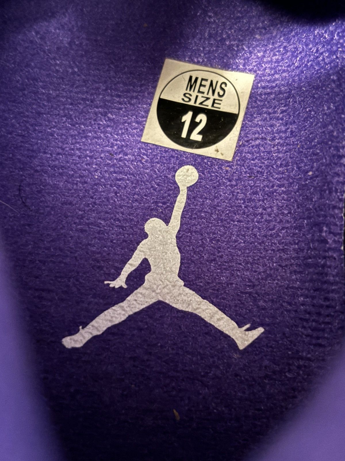 Jordan Brand Jordan 5 Retro Concord 2022 Size 12 Size US 12 / EU 45 - 7 Thumbnail