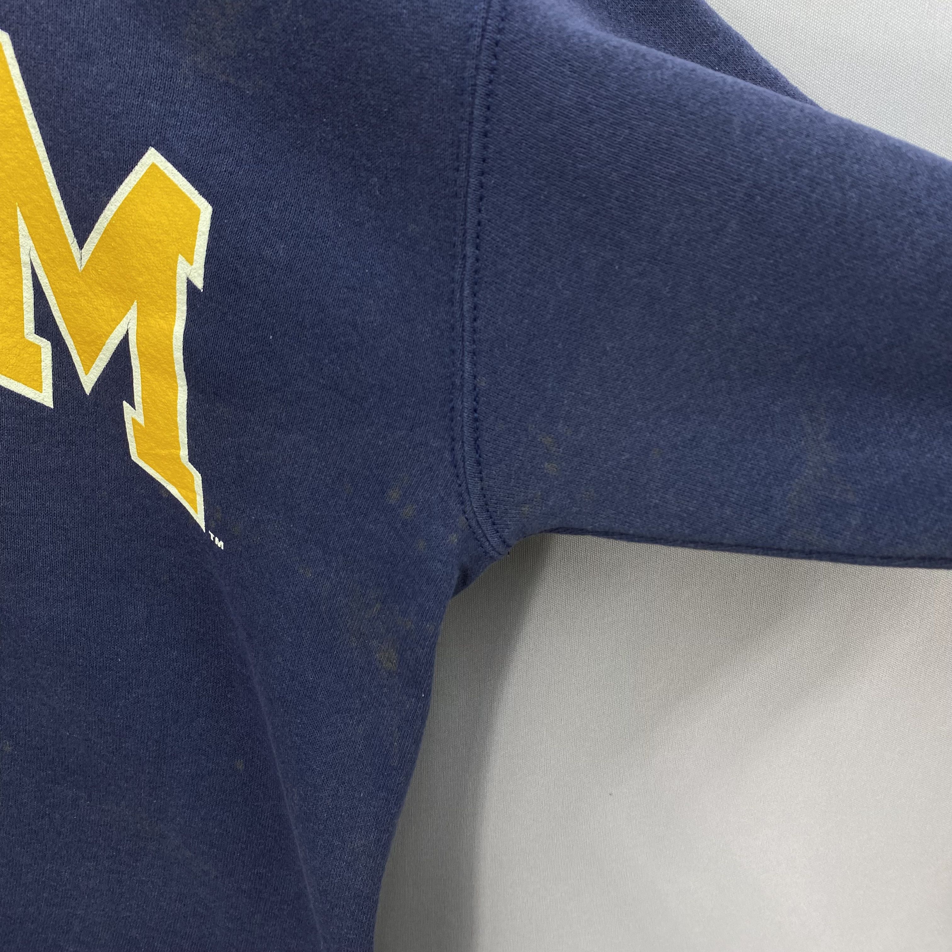 Champion Vintage Champion University of Michigan Wolverines Sweater Size US M / EU 48-50 / 2 - 9 Thumbnail