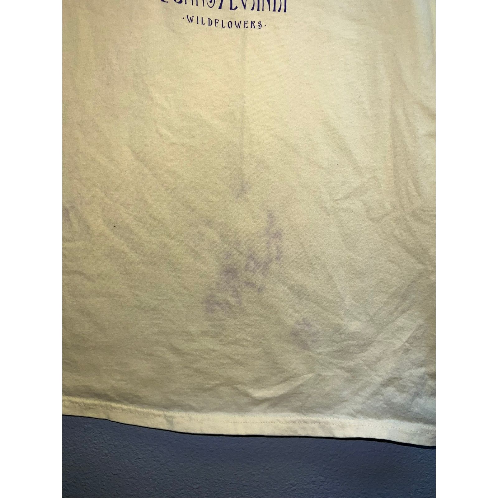 Anvil Women's Vintage Pennsylvania Shirt Top Tee Stained Stain L Size L / US 10 / IT 46 - 4 Thumbnail