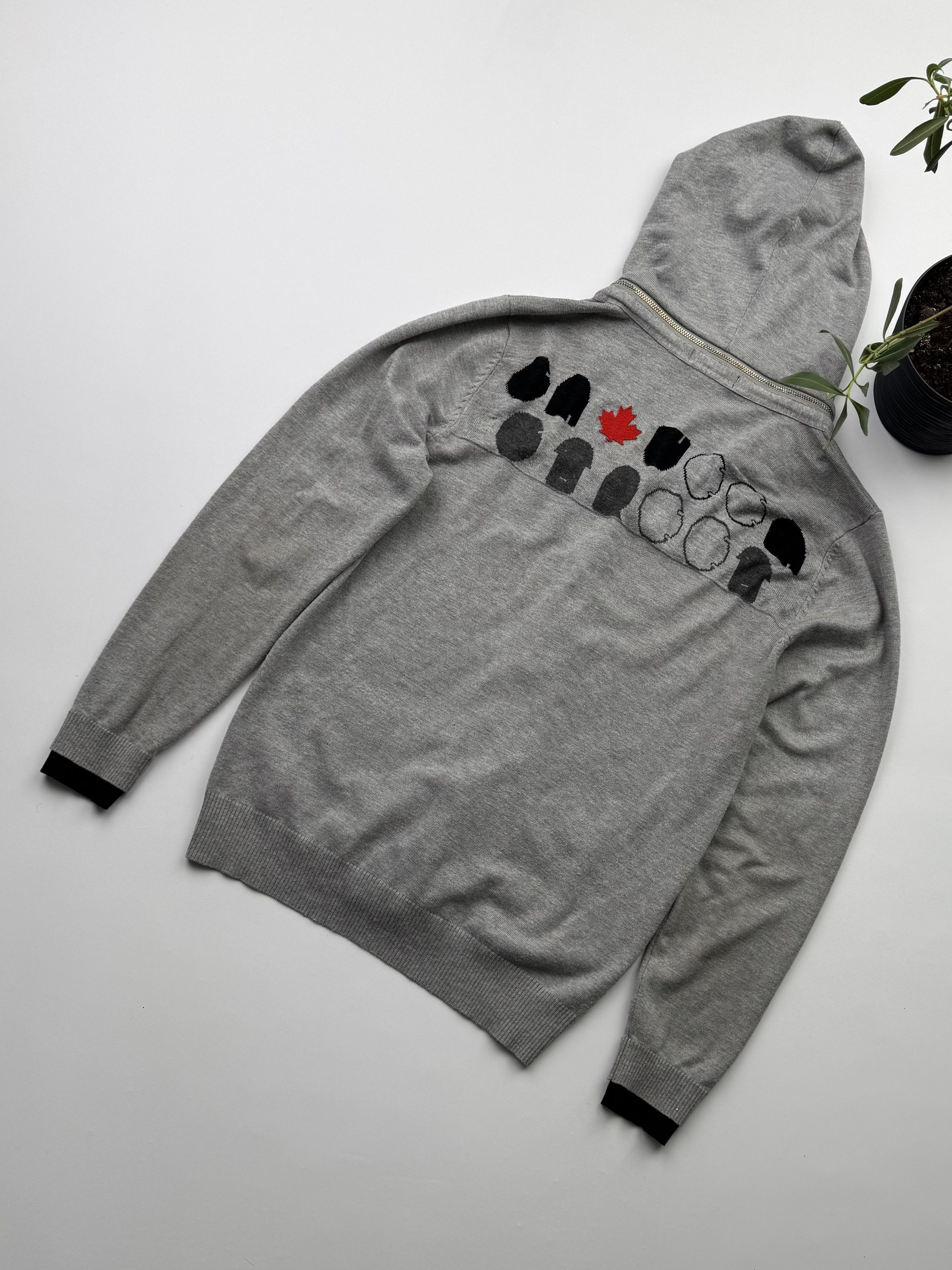 Dsquared2 Dsquared2 Vintage Hoodie (361) Size US S / EU 44-46 / 1 - 8 Thumbnail