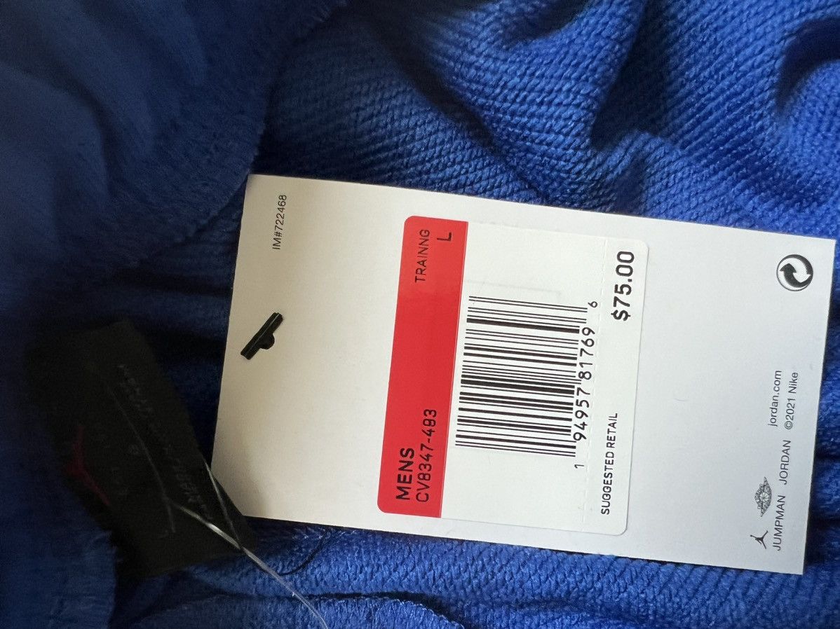 Jordan Brand Jordan Team Dry Air Fleece Jogger Sweatpants Size US 32 / EU 48 - 4 Thumbnail