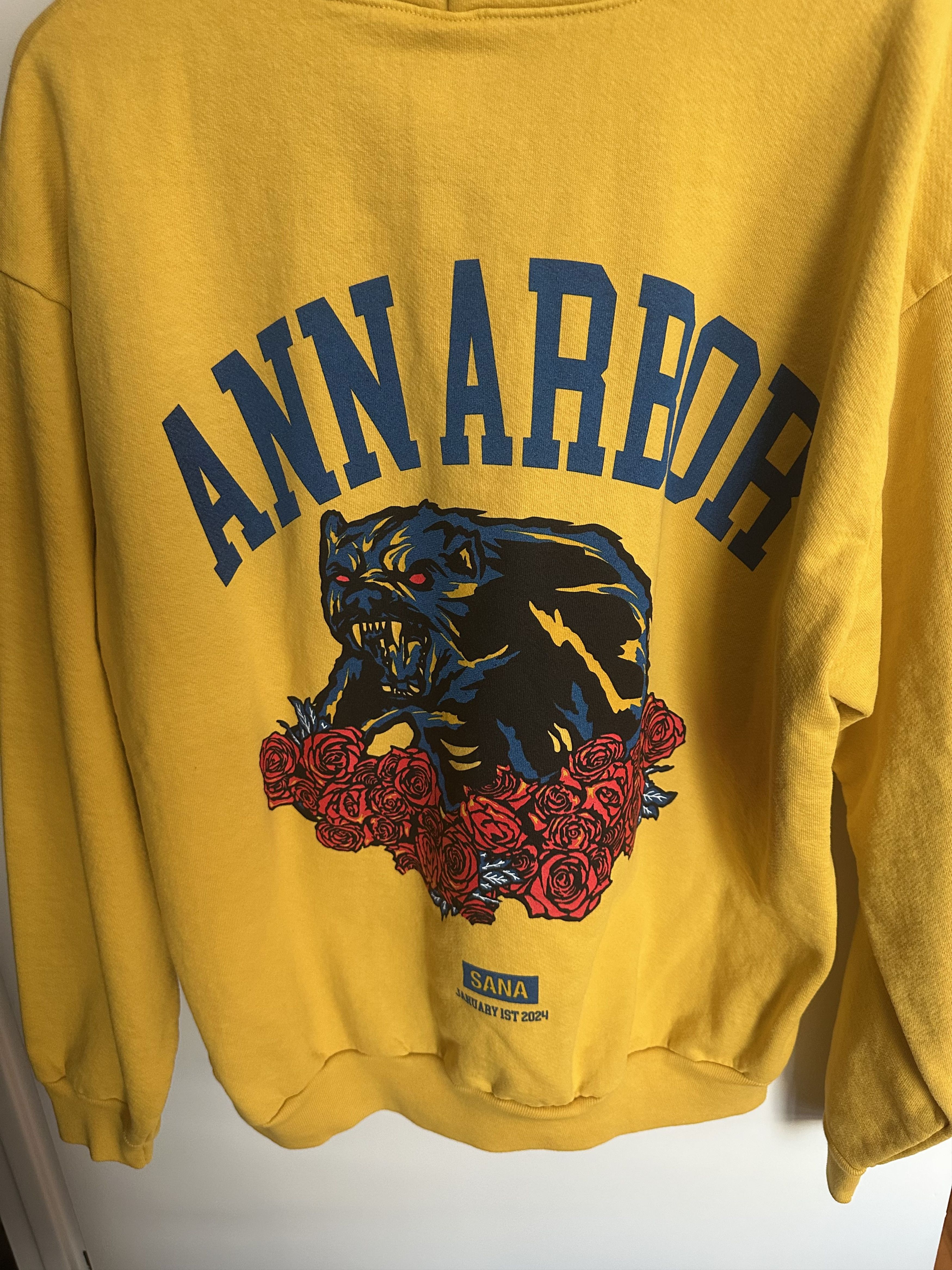 SANA Sana Detroit Michigan Wolverines Hoodie Sweatshirt Maize Size US XL / EU 56 / 4 - 2 Thumbnail