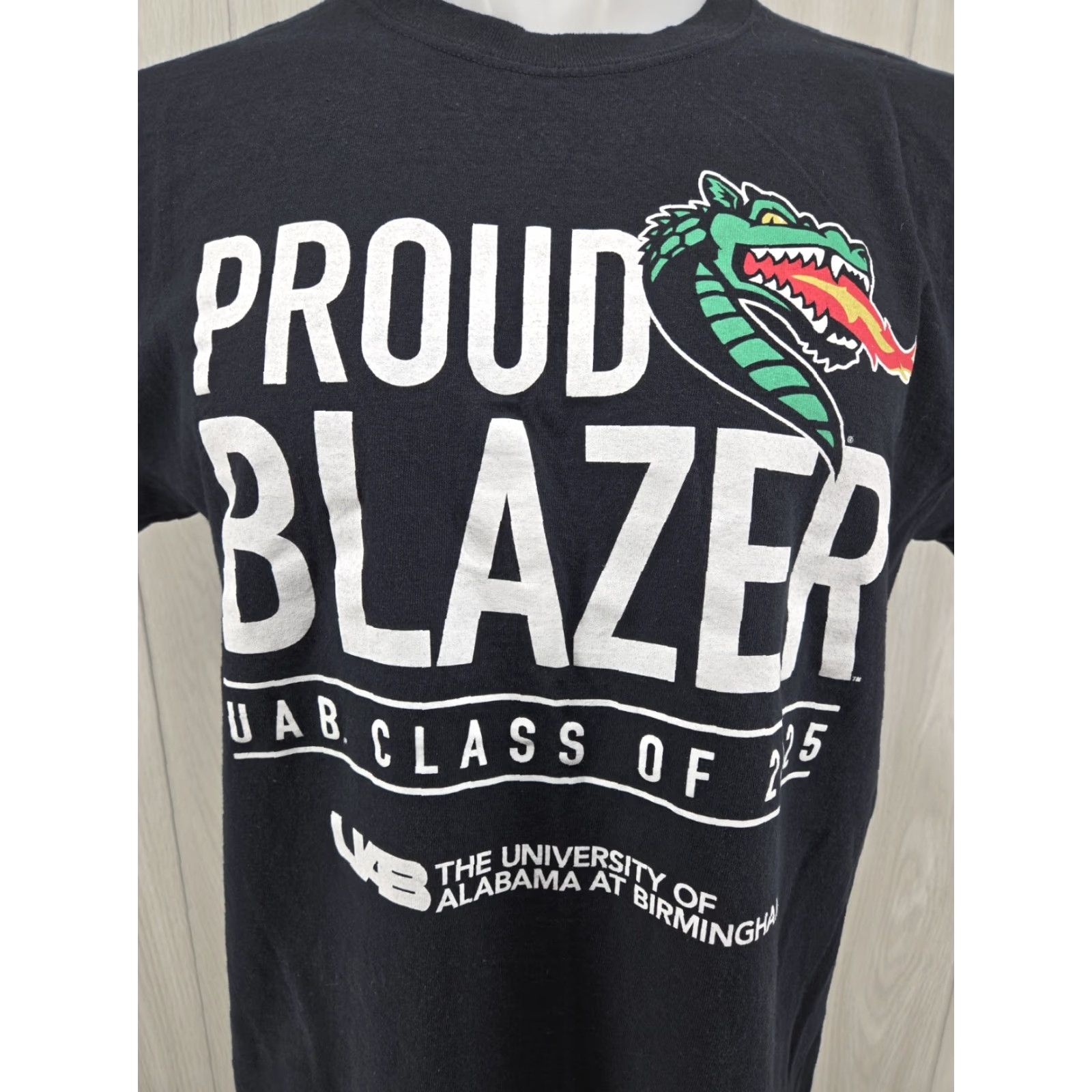 Gildan VINTAGE University of Alabama at Birmingham Blazers Class 2025 Short Sleeve T-Shirt LRG Size US L / EU 52-54 / 3 - 2 Thumbnail