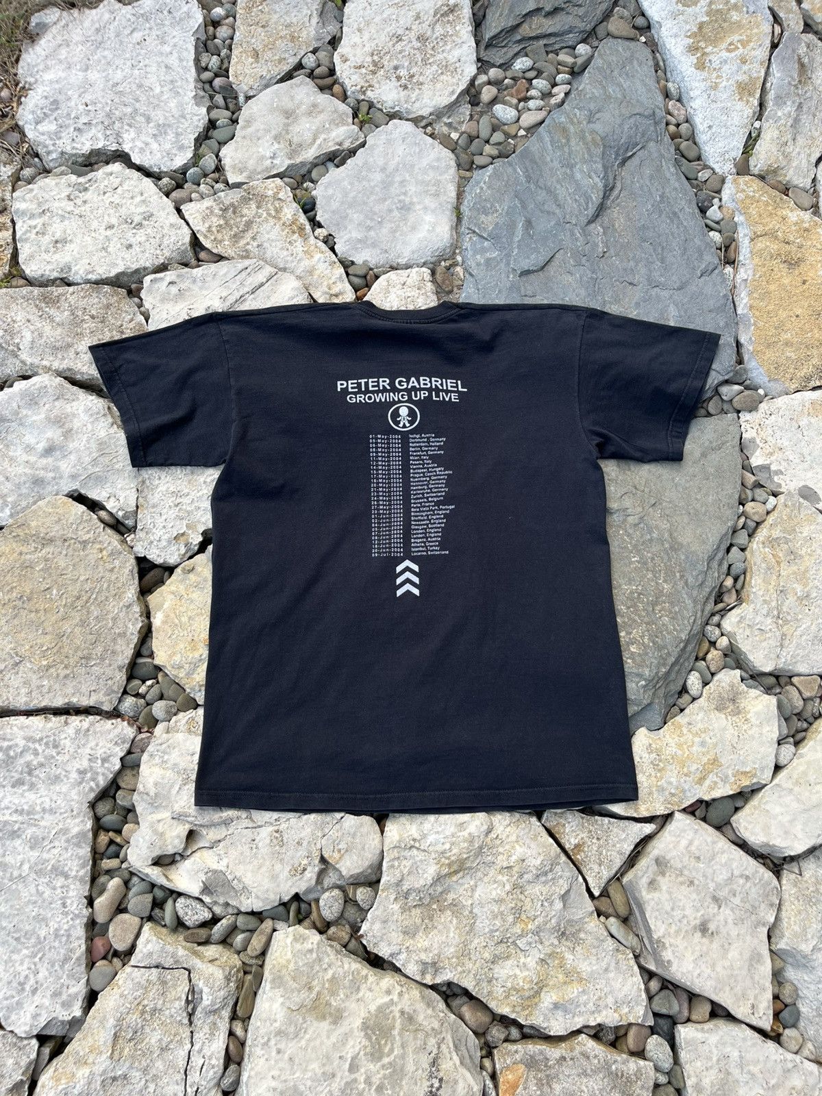 Band Tees × Vintage Vintage Peter Gabriel Growing up live tee 2004 tour t-shirt Size US L / EU 52-54 / 3 - 2 Thumbnail