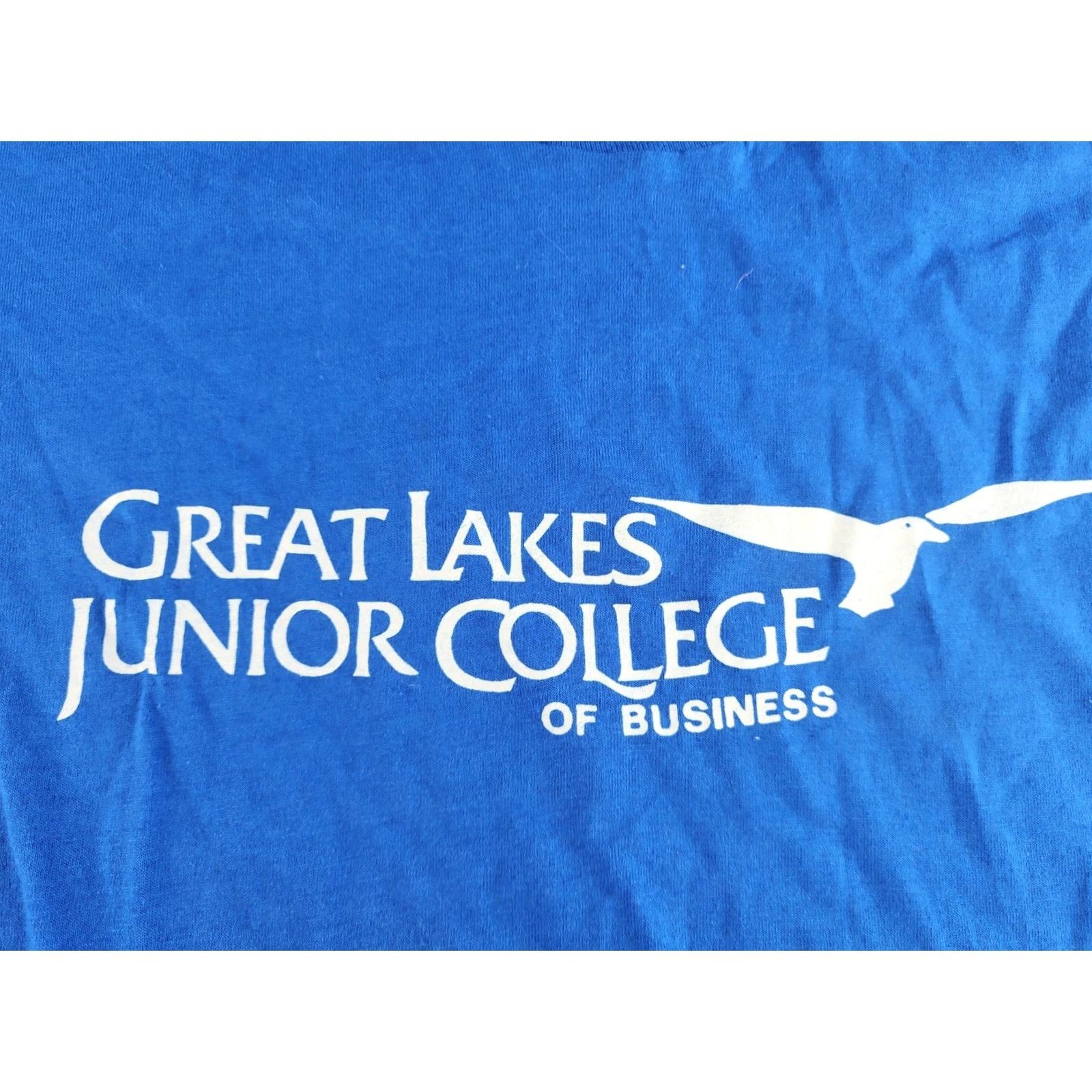 Vintage VINTAGE Great Lakes Junior College Of Business Shirt M Blue Cotton Blend USA Shirt Mens 1980s Screen Stars Size US M / EU 48-50 / 2 - 5 Thumbnail