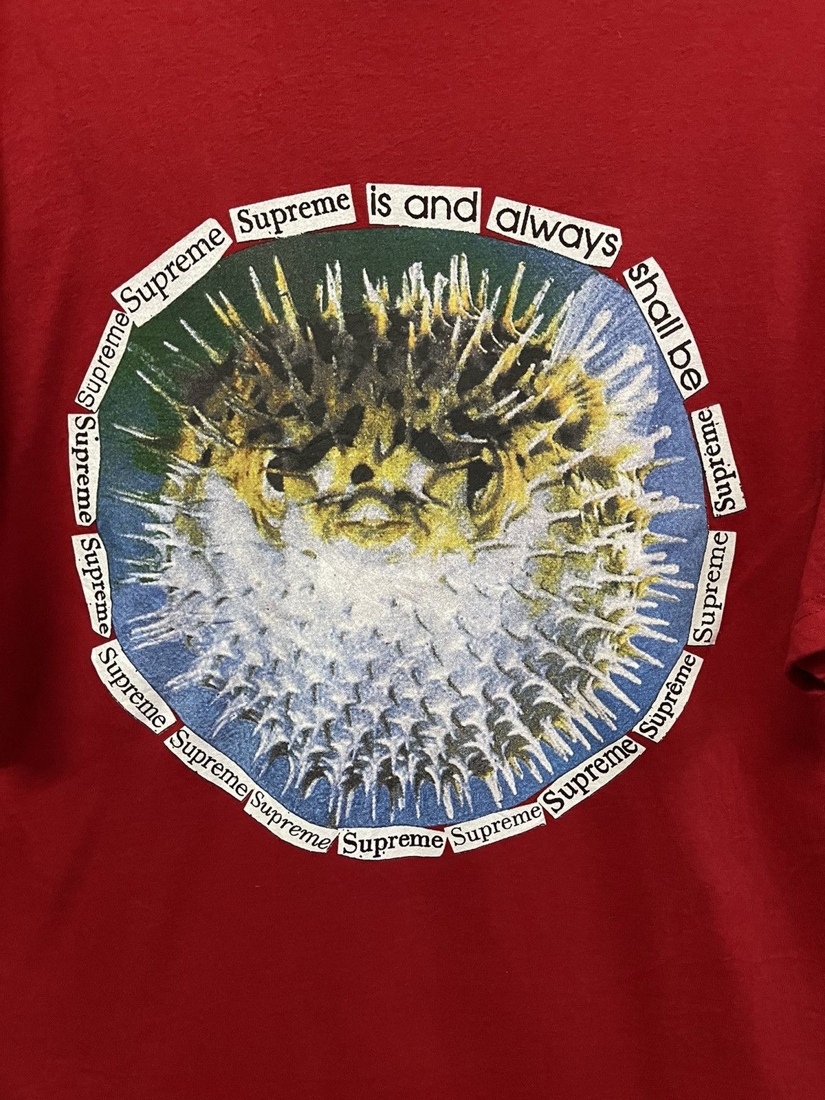 Supreme Supreme 23SS Blowfish🔥🔥🔥 Size US L / EU 52-54 / 3 - 6 Thumbnail
