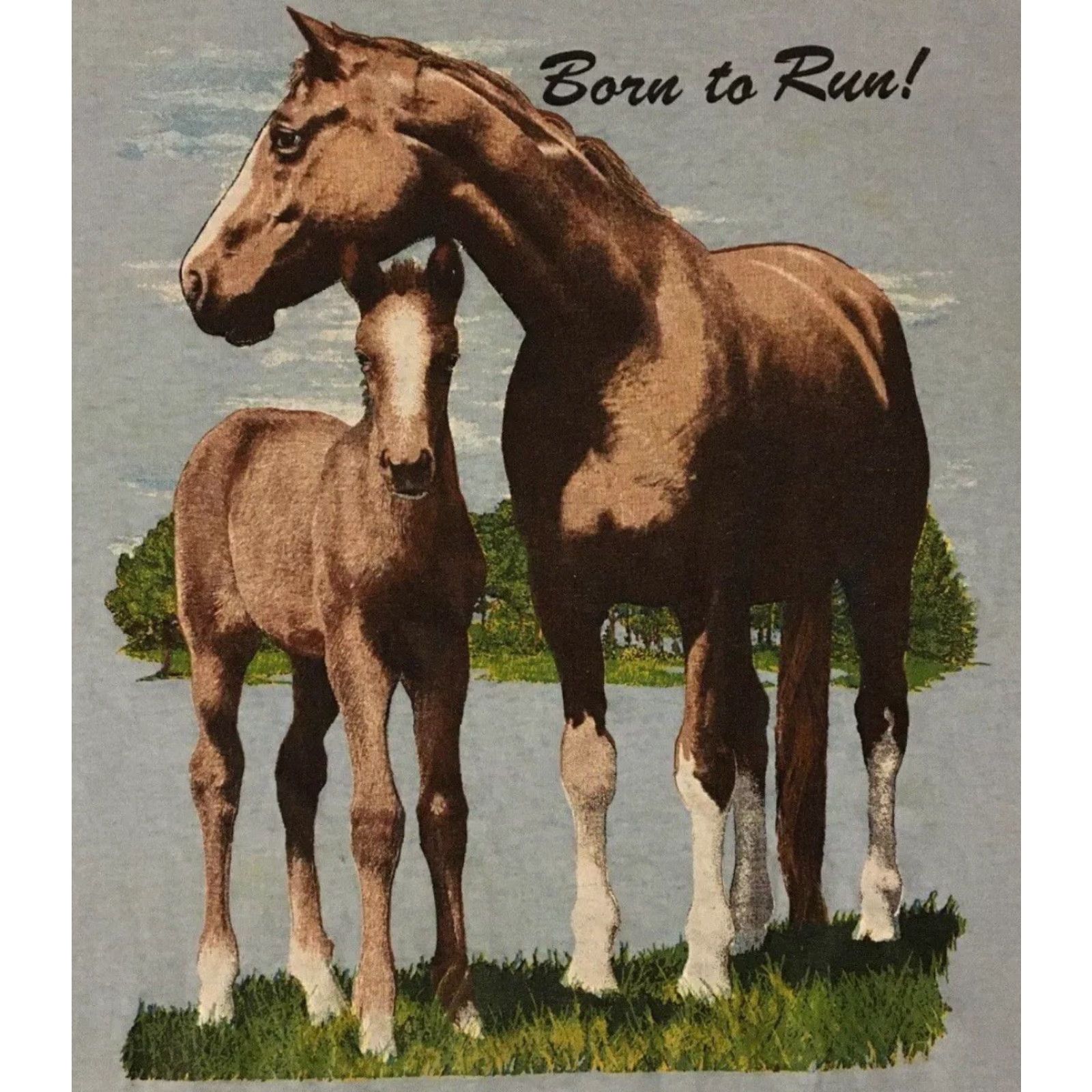 Born VINTAGE 90s Born To Run Horse Faded Distressed Shirt XL Blue Men T-Shirt Grunge Cowboy Western Biker Music Size US XL / EU 56 / 4 - 2 Thumbnail