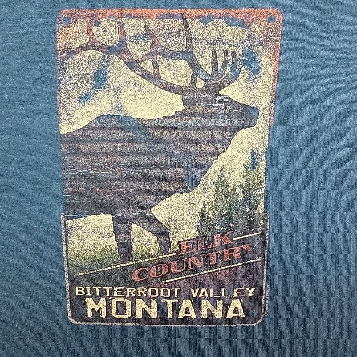 Gildan VTG Nature Shirt Men L Teal Elk Country Graphic Bitteroot Valley Hamilton MT TEE Size US L / EU 52-54 / 3 - 5 Thumbnail