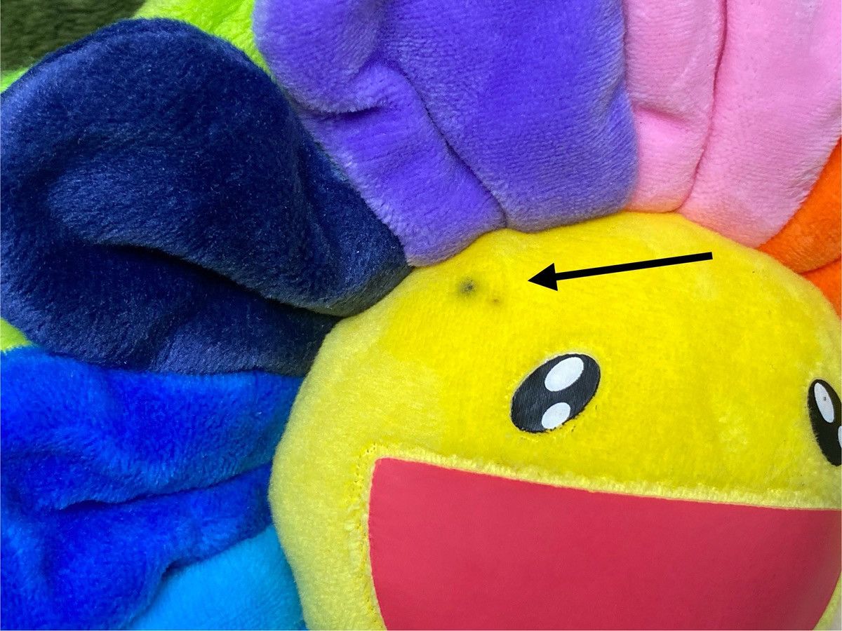 Takashi murakami mini sling bag/crossbody bag