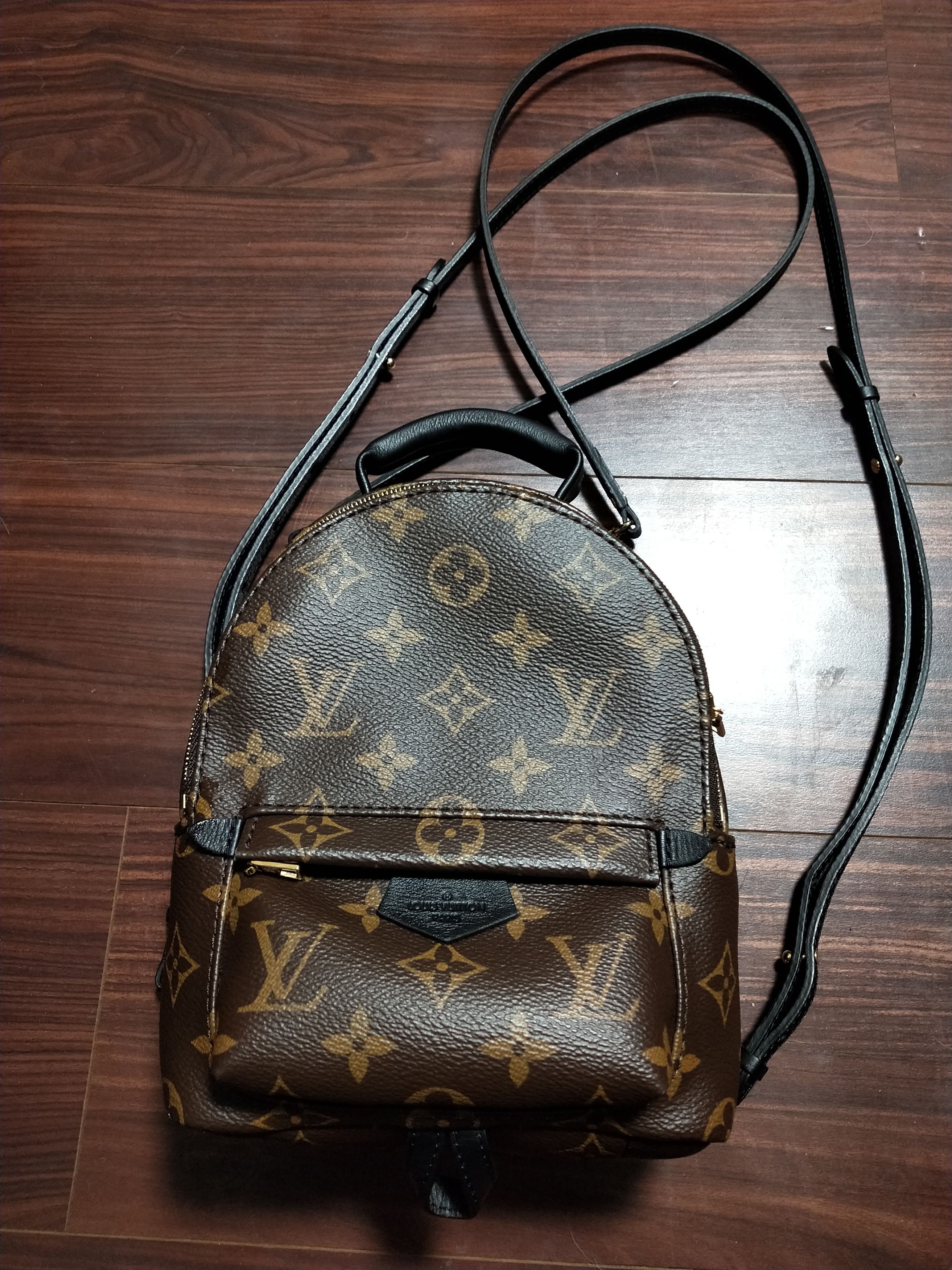 Louis Vuitton Palm Springs Monogram Mini Backpack Size ONE SIZE - 1 Thumbnail