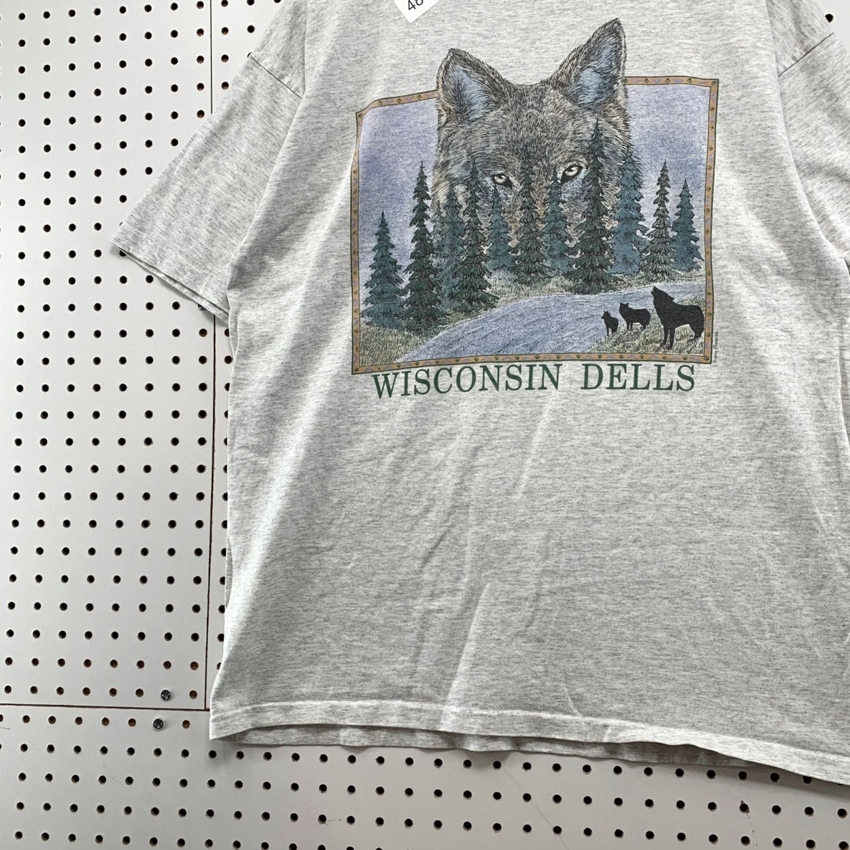 Vintage VINTAGE Prairie Mountain T Shirt Mens XL Gray Wolf Nature Wisconsin Dells 90s Outdoor Shirt Graphic Print Fans Mens Size US XL / EU 56 / 4 - 5 Thumbnail