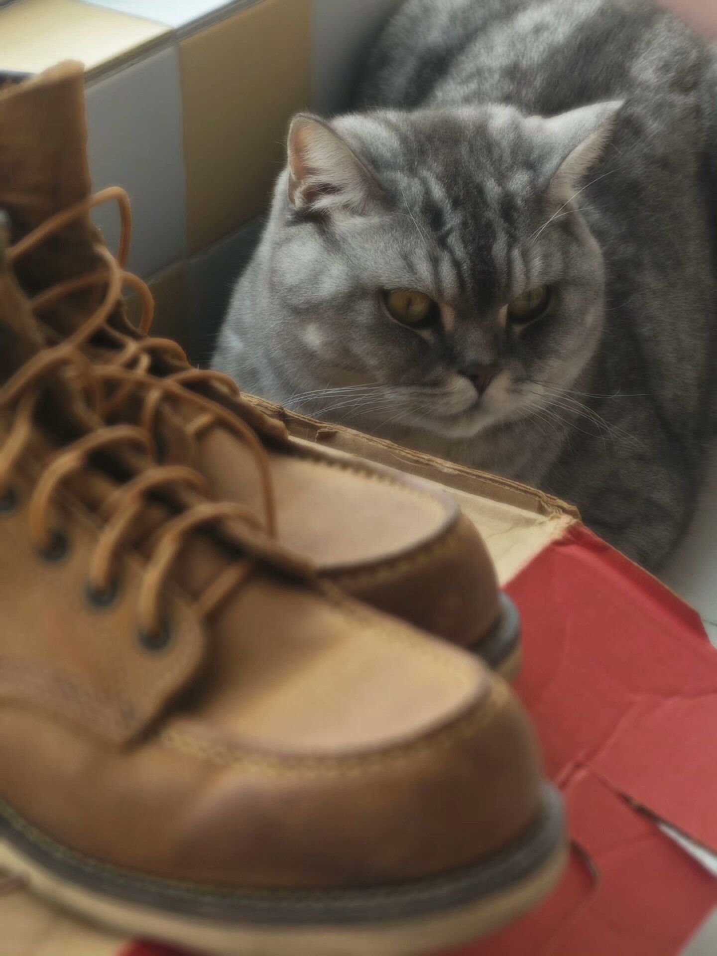 Red Wing Redwing 8861 Suede Boots Size US 9 / EU 42 - 1 Thumbnail