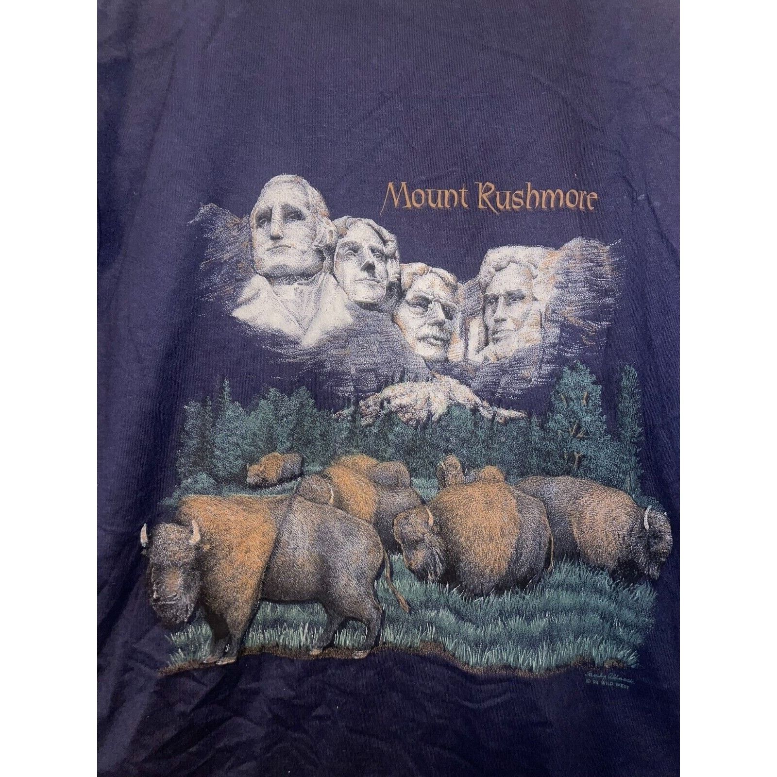 Jerzees Vintage Mount Rushmore Shirt President Bison Blue Tee 90s M Size US M / EU 48-50 / 2 - 2 Thumbnail