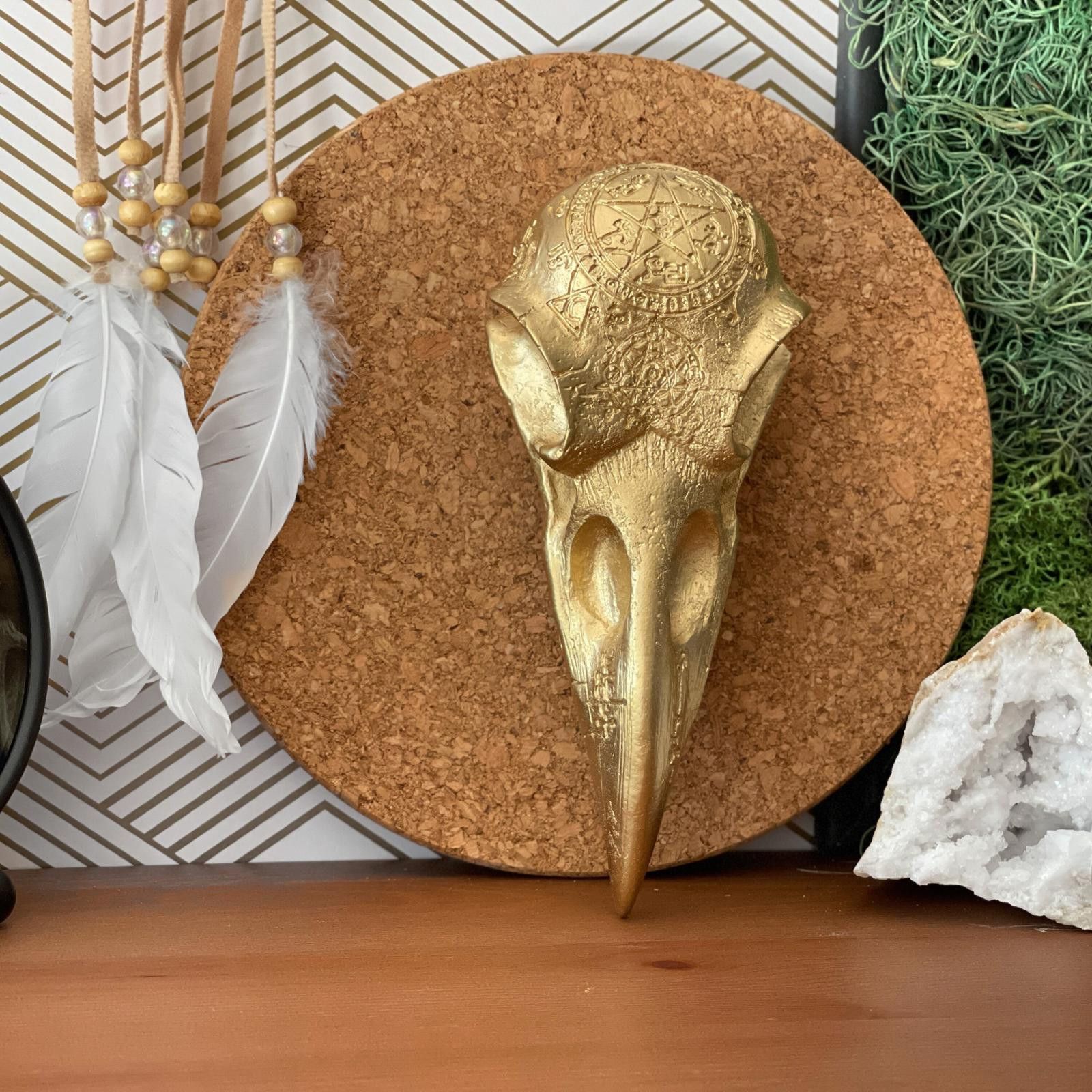 Other Crow Skull Replica, Raven Skull Sculpture, Realistic Magpie Size ONE SIZE - 2 Thumbnail