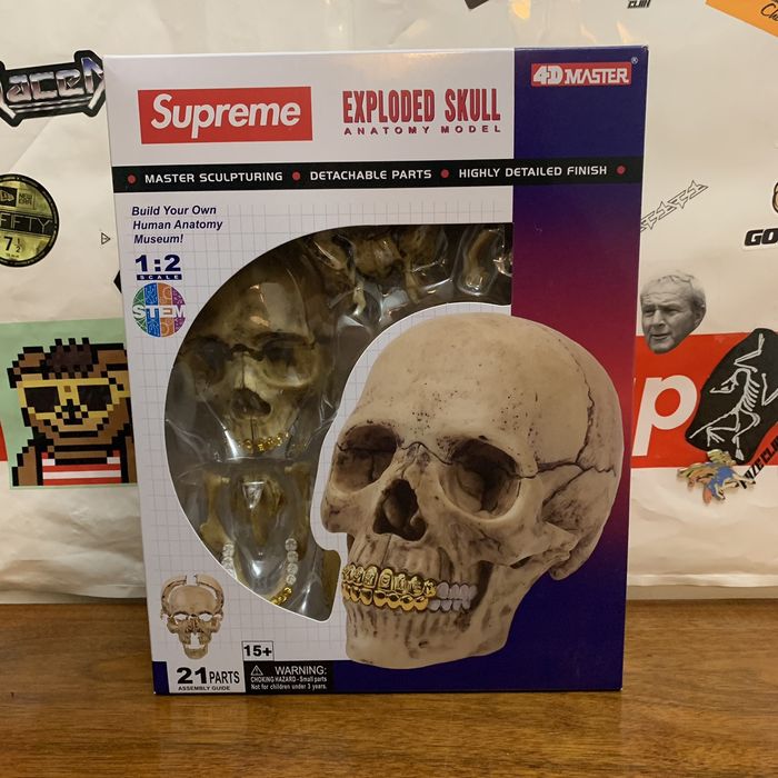 Supreme Supreme 4D Model Human Skull | Grailed