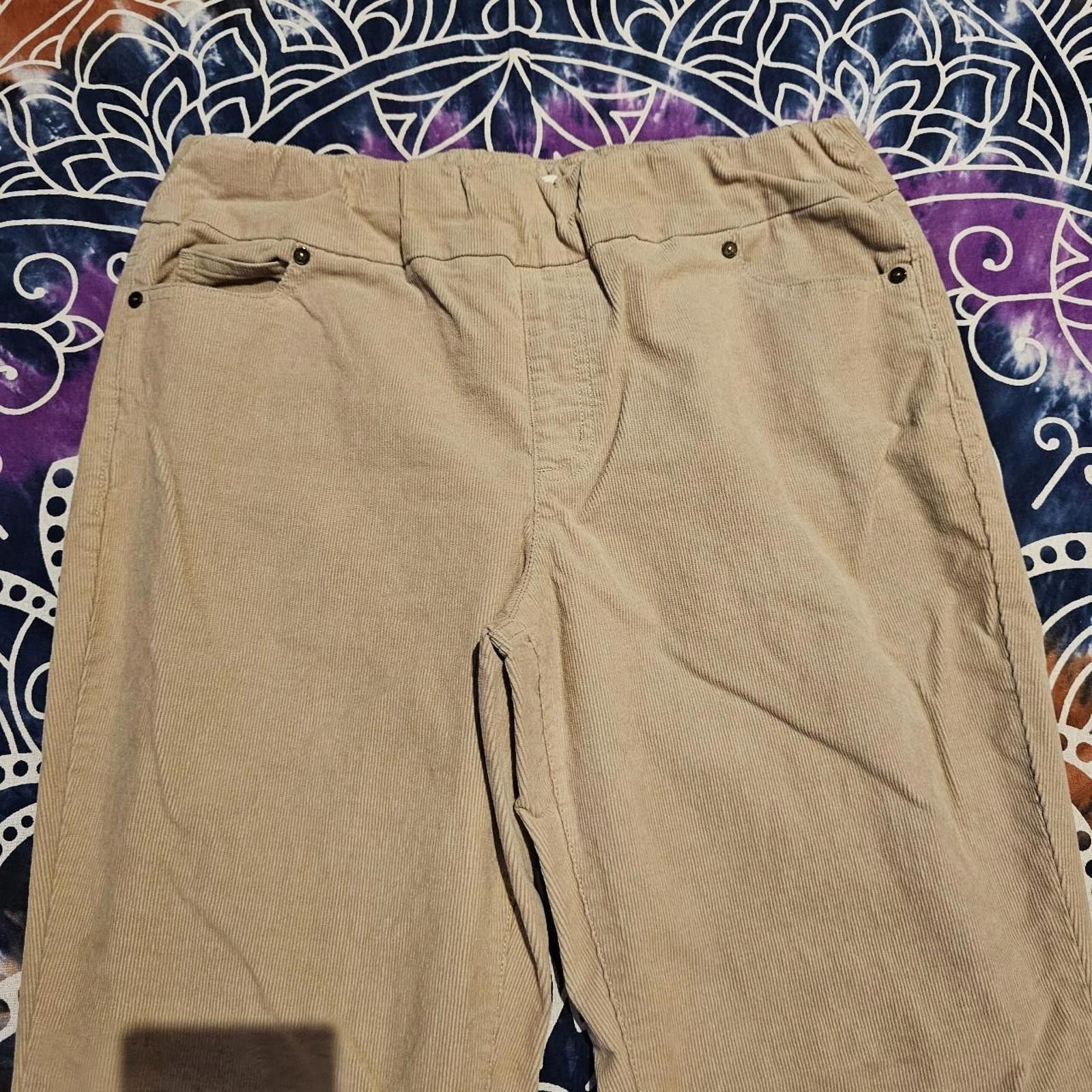 Coldwater Creek Coldwater Creek Women's Tan Corduroy Pants Size 34" / US 12 / IT 48 - 4 Thumbnail