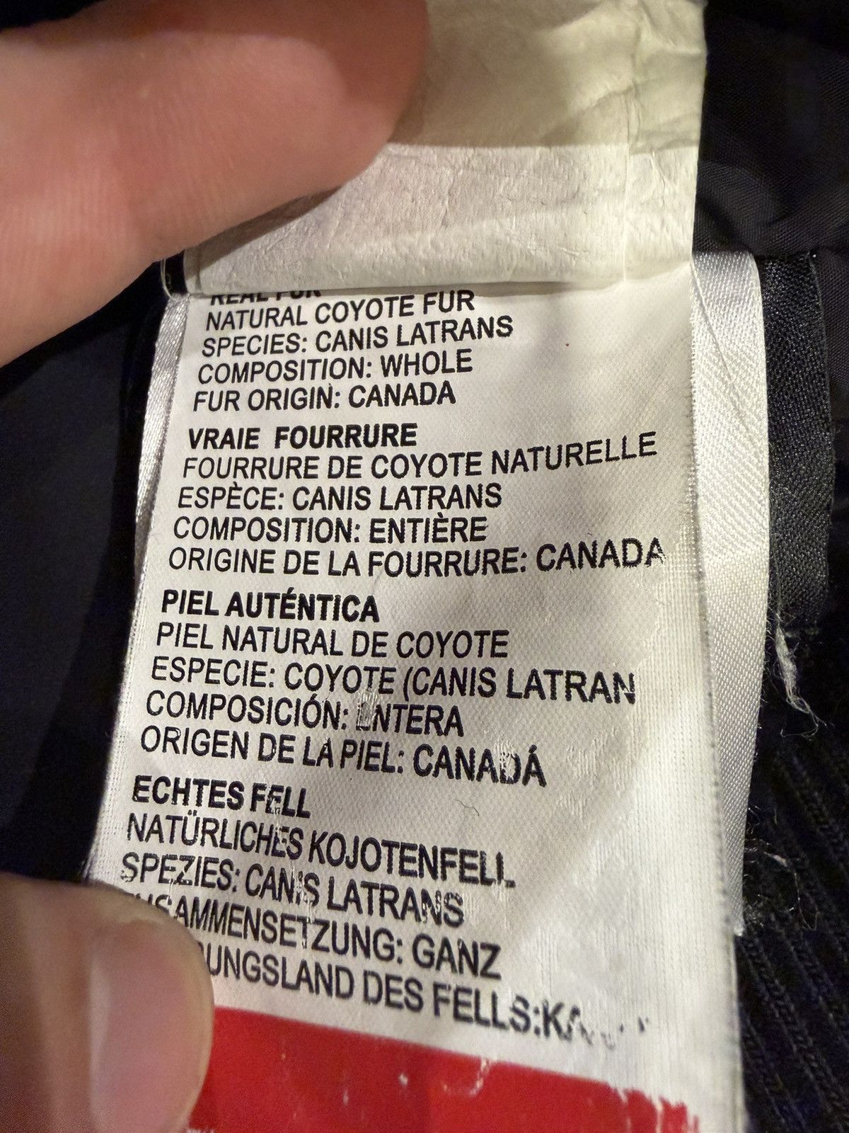 Canada Goose Canada Goose Chiliwack Bomber Jacket Size US M / EU 48-50 / 2 - 7 Thumbnail