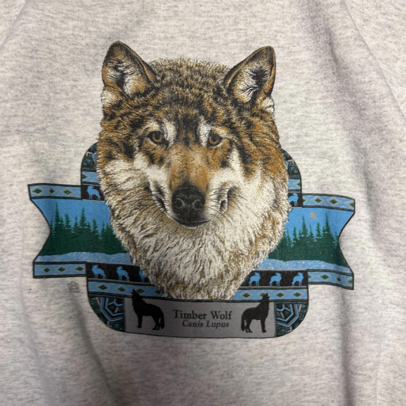 Lee 90's Wolf Nature Crewneck -- M -- Size US M / EU 48-50 / 2 - 2 Thumbnail