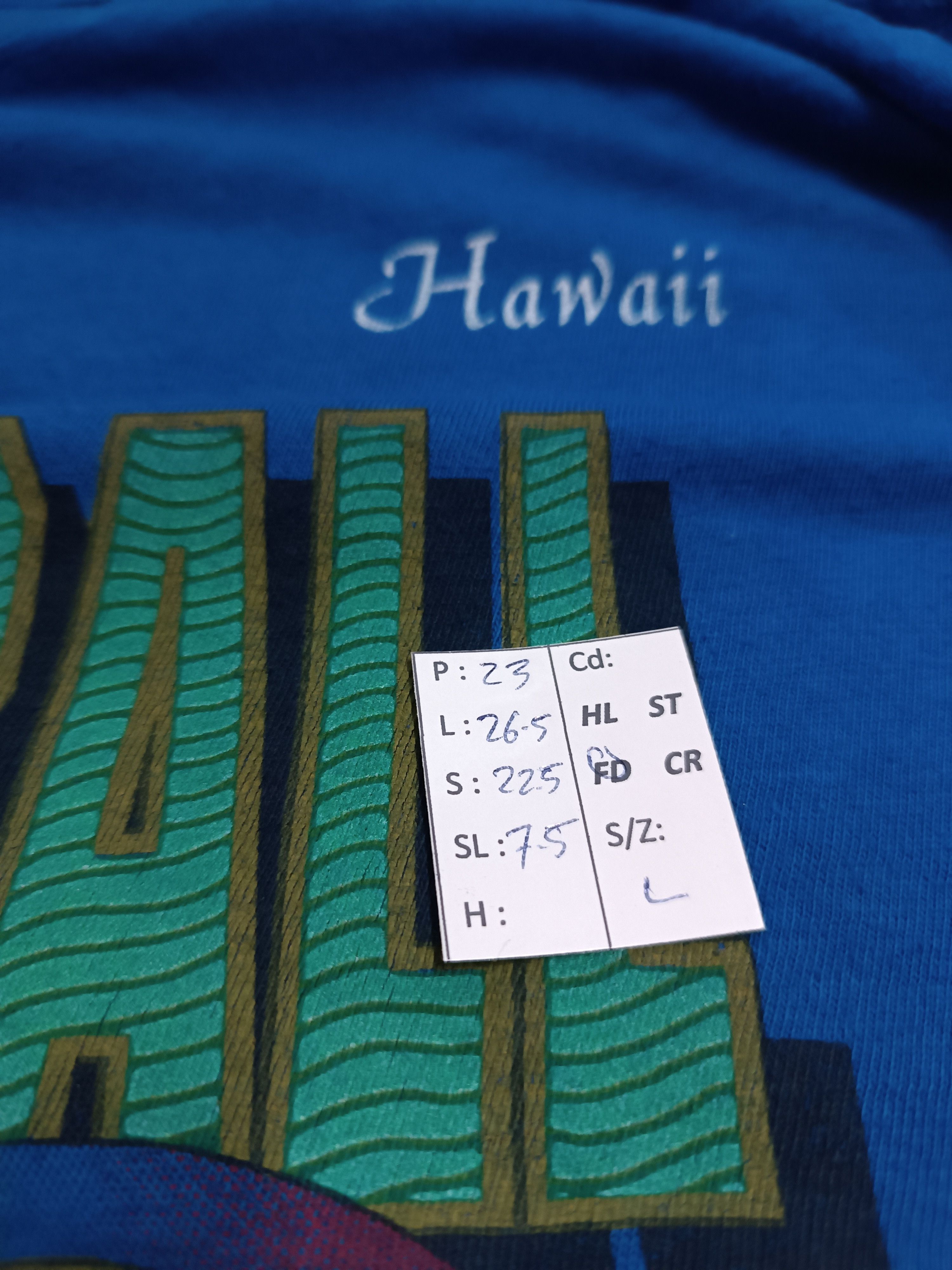 Vintage VINTAGE 90'S BOXY HAWAII FOOTBALL LEAGUE ACTION T VERY RARE Size US L / EU 52-54 / 3 - 15 Thumbnail