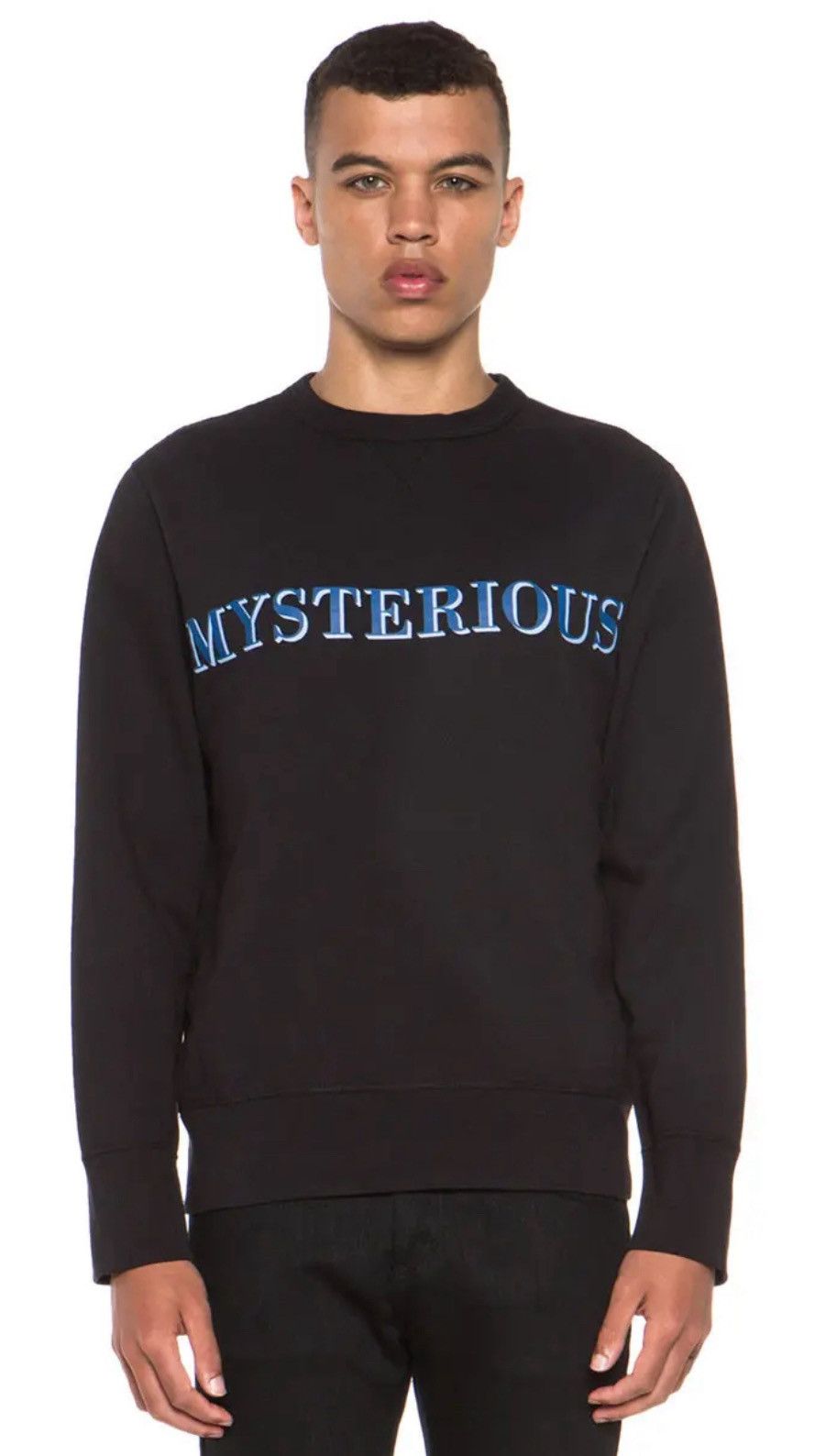 Acne Studios Acne Studios aw13 crewneck „mysterious” Size US XS / EU 42 / 0 - 1 Thumbnail