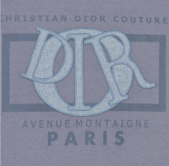 Dior o1w1db10525 493J64 Relaxed-Fit T-Shirt in Gray Size US M / EU 48-50 / 2 - 3 Thumbnail