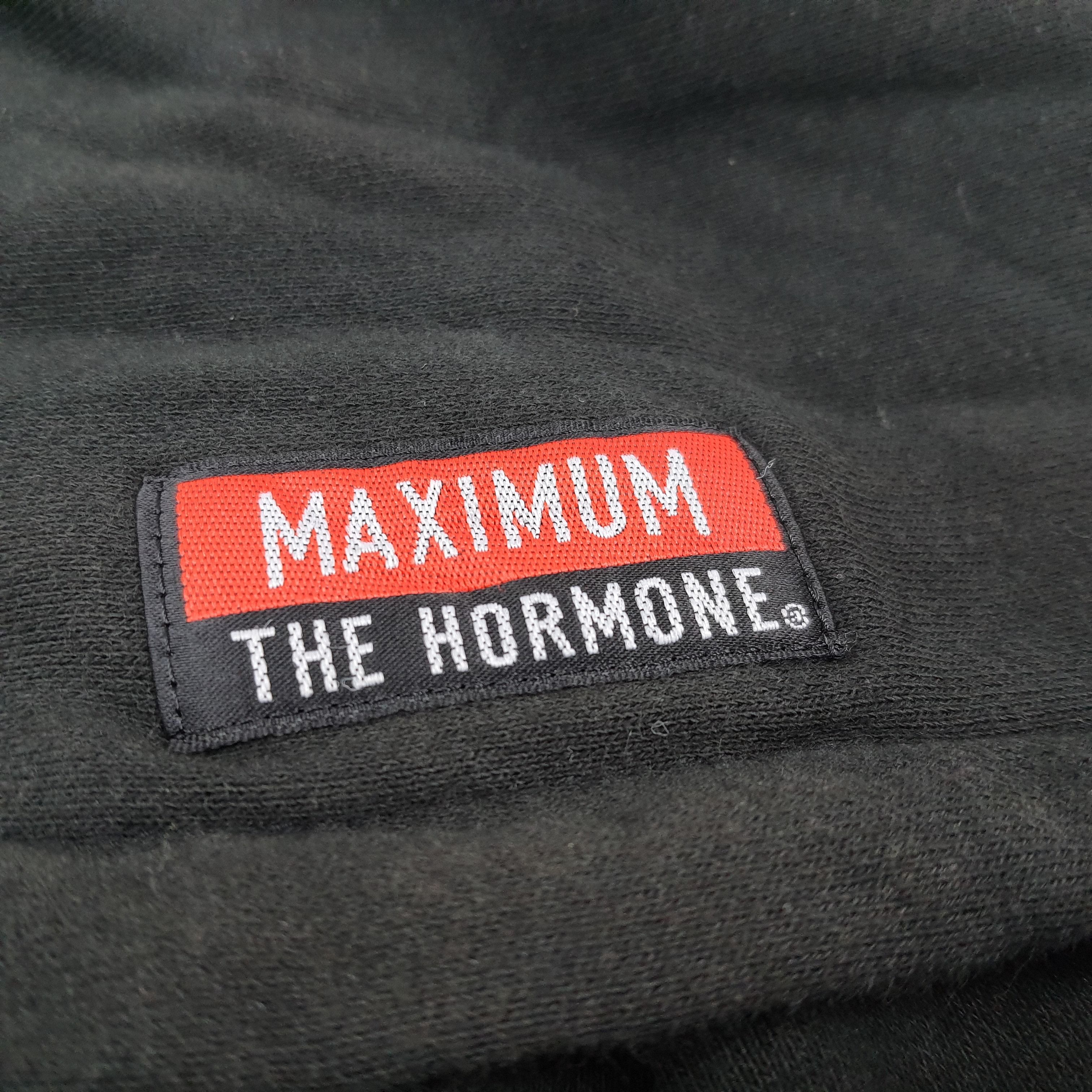 Band Tees × Japanese Brand × Vintage Vintage Maximum The Hormone Rock Band Stussy Style Hoodie Size US M / EU 48-50 / 2 - 6 Thumbnail