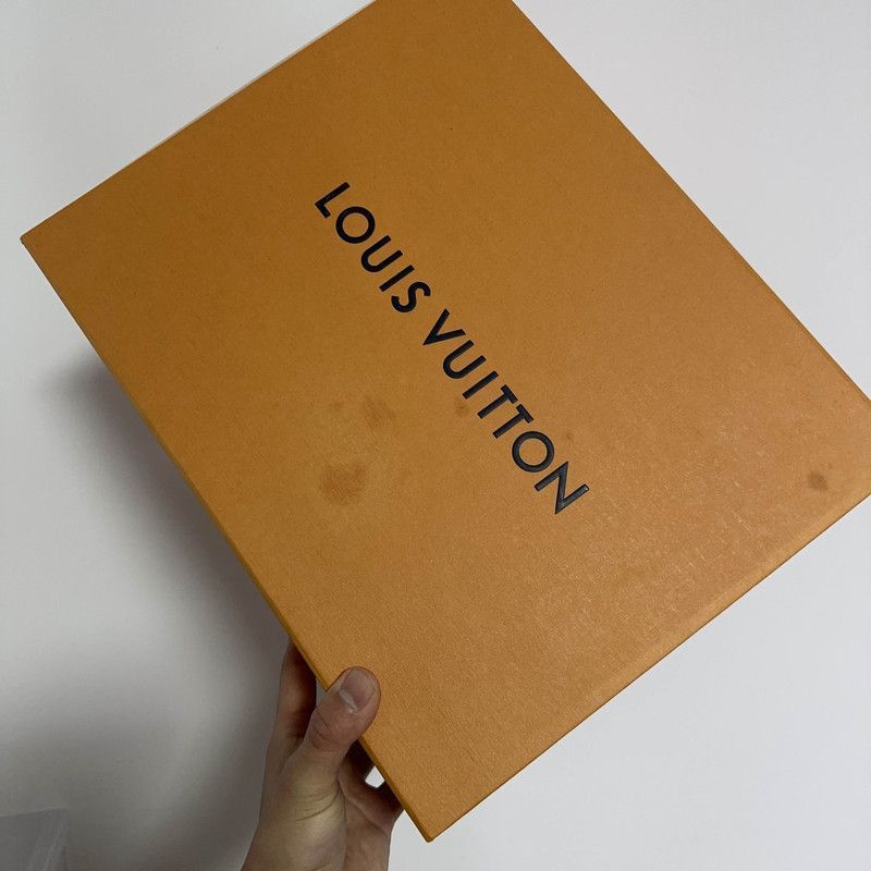 Louis Vuitton Louis Vuitton Stylish Low-Top Sneakers for Men -2508 Size US 9.5 / EU 42-43 - 6 Thumbnail