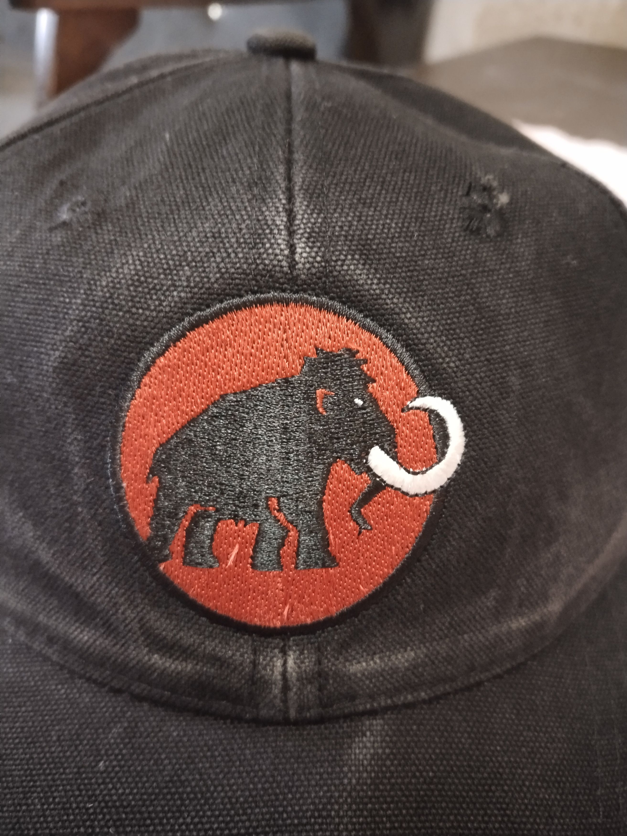 Mammut RARE SUN FADED EMBROIDERY MAMMUT CAP Size ONE SIZE - 2 Thumbnail