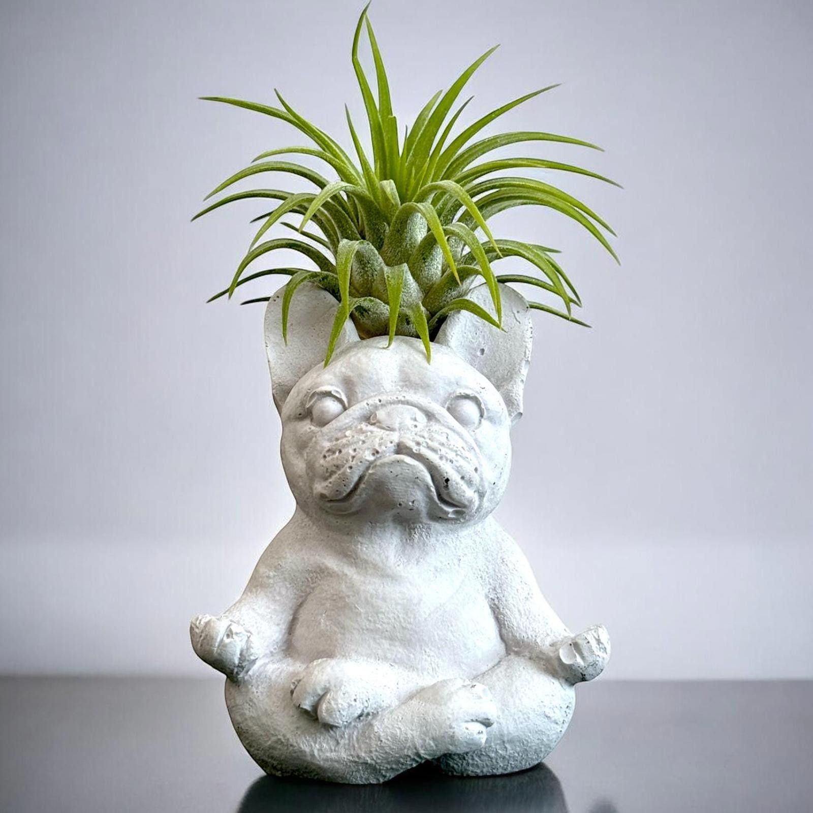 Other Zen Bulldog Air Planter, Meditating Dog Decor, Gift Figurine Size ONE SIZE - 5 Thumbnail