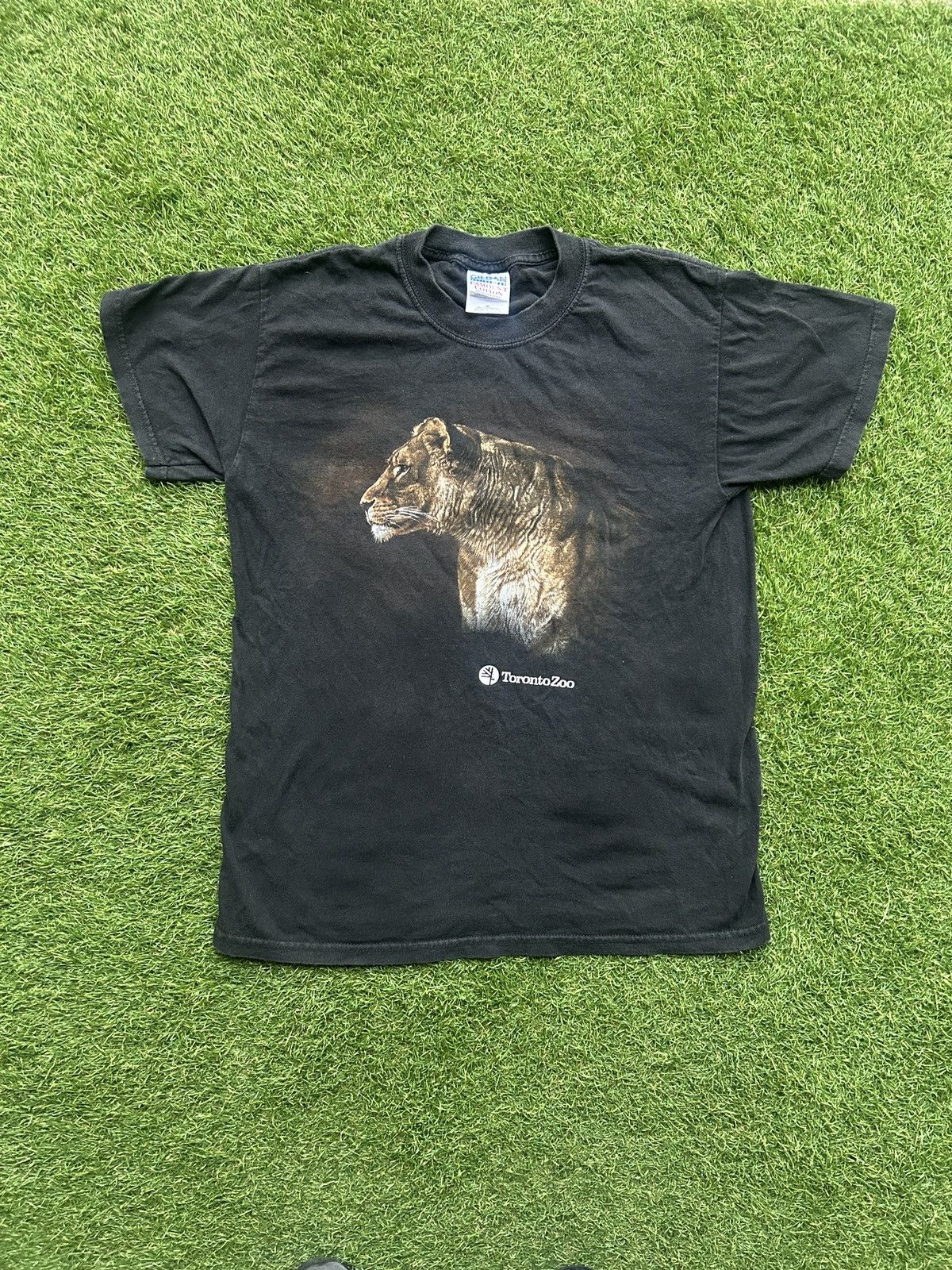 Vintage Vintage 90s Toronto Zoo Lion Graphic T-Shir Size US M / EU 48-50 / 2 - 1 Thumbnail