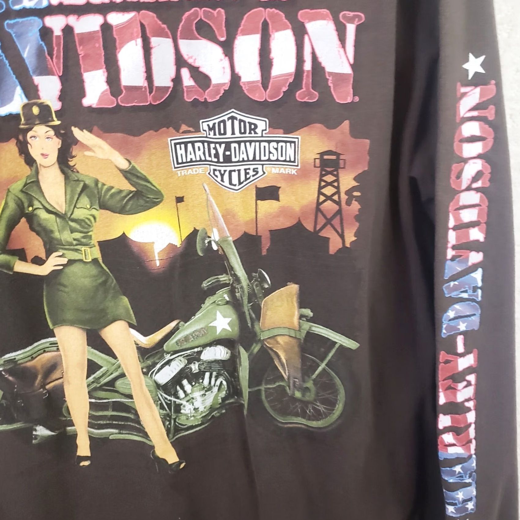 Harley Davidson Harley-Davidson Shirt Mens XL Brown Patriotic USA Graphic Print Double-Sided Crew Neck Short Sleeve T-Shirt Size US XL / EU 56 / 4 - 6 Thumbnail