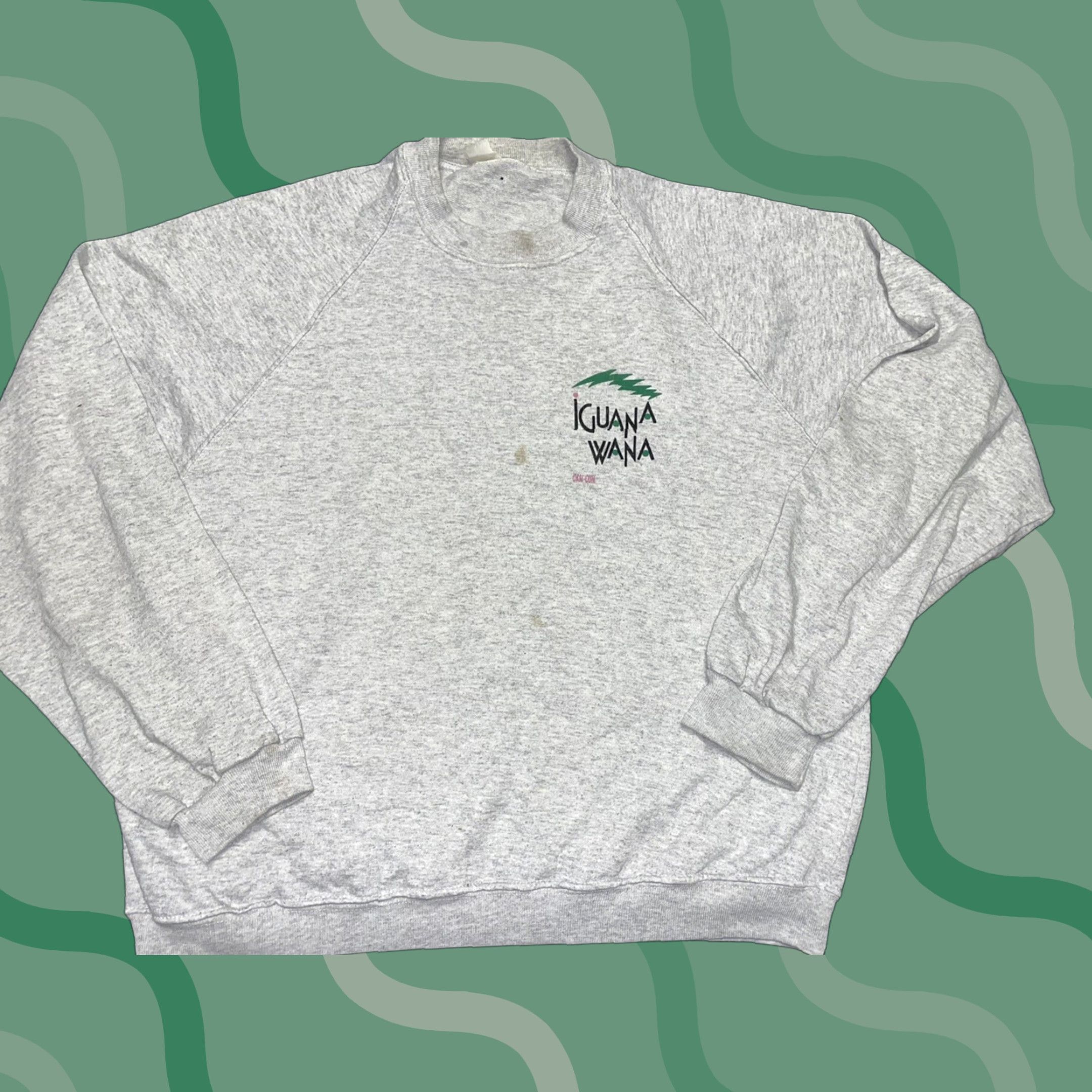 Vintage VINTAGE Iguana Animal Made in USA Crewneck Sweatshirt XL Crew Neck Sweatshirt Graphic Print Men Blue 90s Size US XL / EU 56 / 4 - 1 Thumbnail