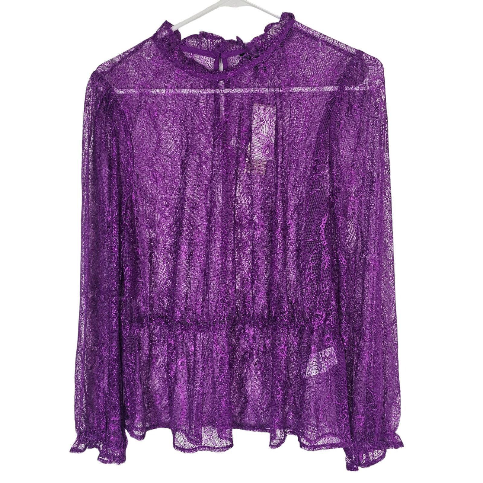Banana Republic Banana Republic Women Sheer Lace Peplum Blouse PL Whimsigoth Size L / US 10 / IT 46 - 2 Thumbnail