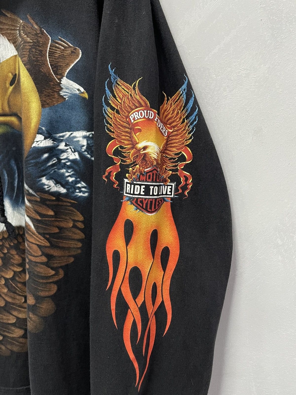 Harley Davidson Harley Davidson flames 3D Black Hoodie Ride to live Style Size US M / EU 48-50 / 2 - 4 Thumbnail