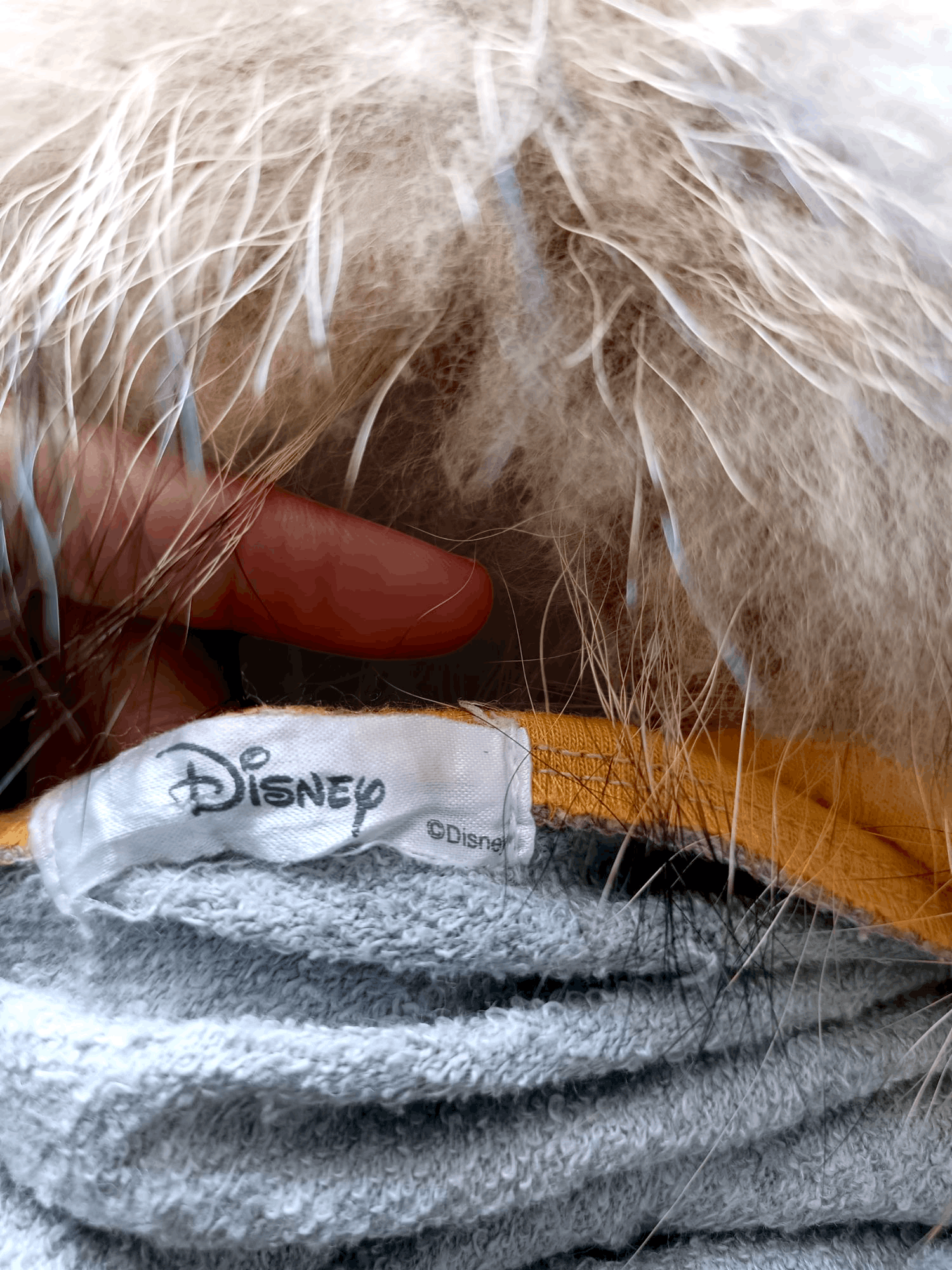 Cartoon Network × Disney × Japanese Brand Disney Chip & Dale Fur Hoodie Full Print Size US XL / EU 56 / 4 - 11 Thumbnail